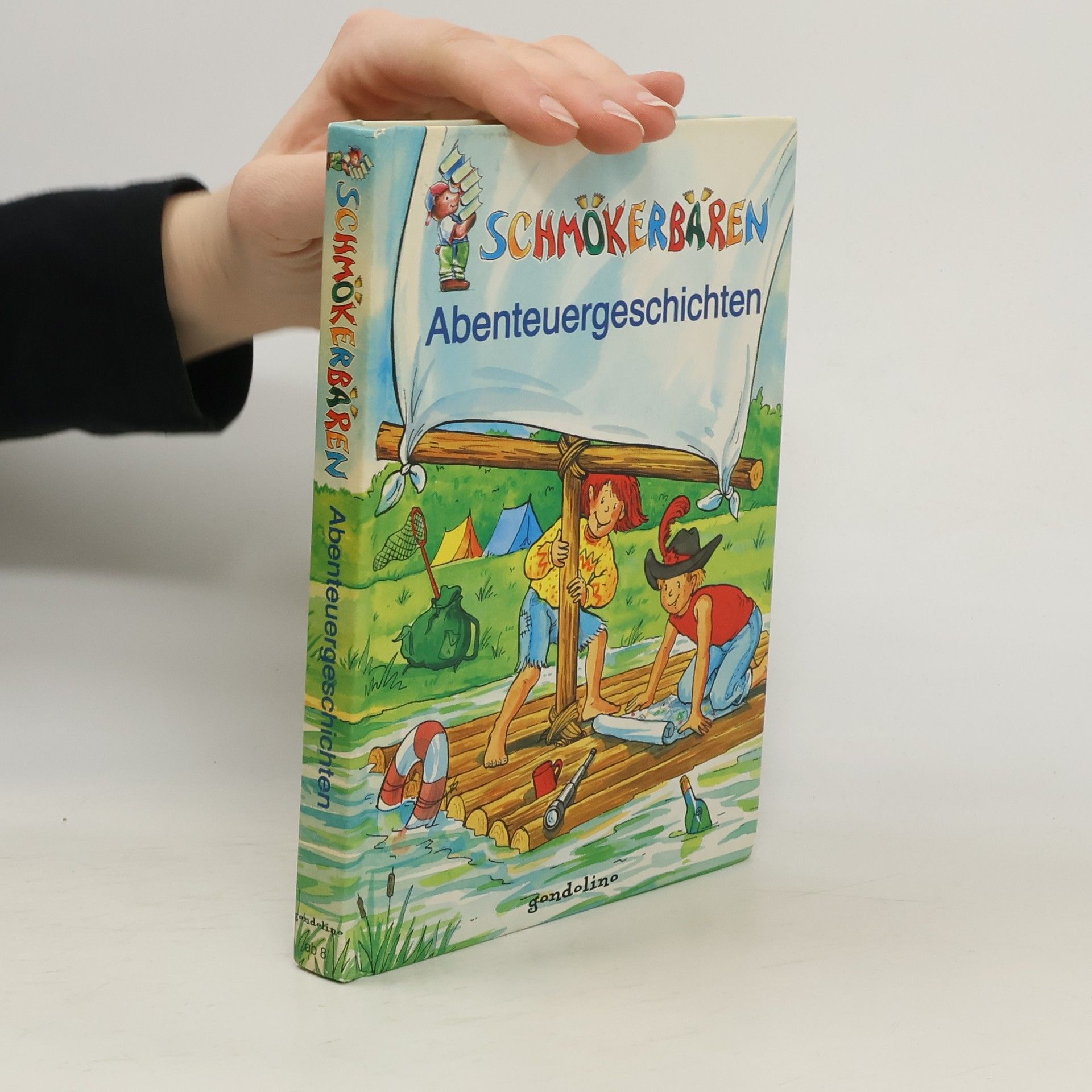 Soenke Hollstein Abenteuergeschichten