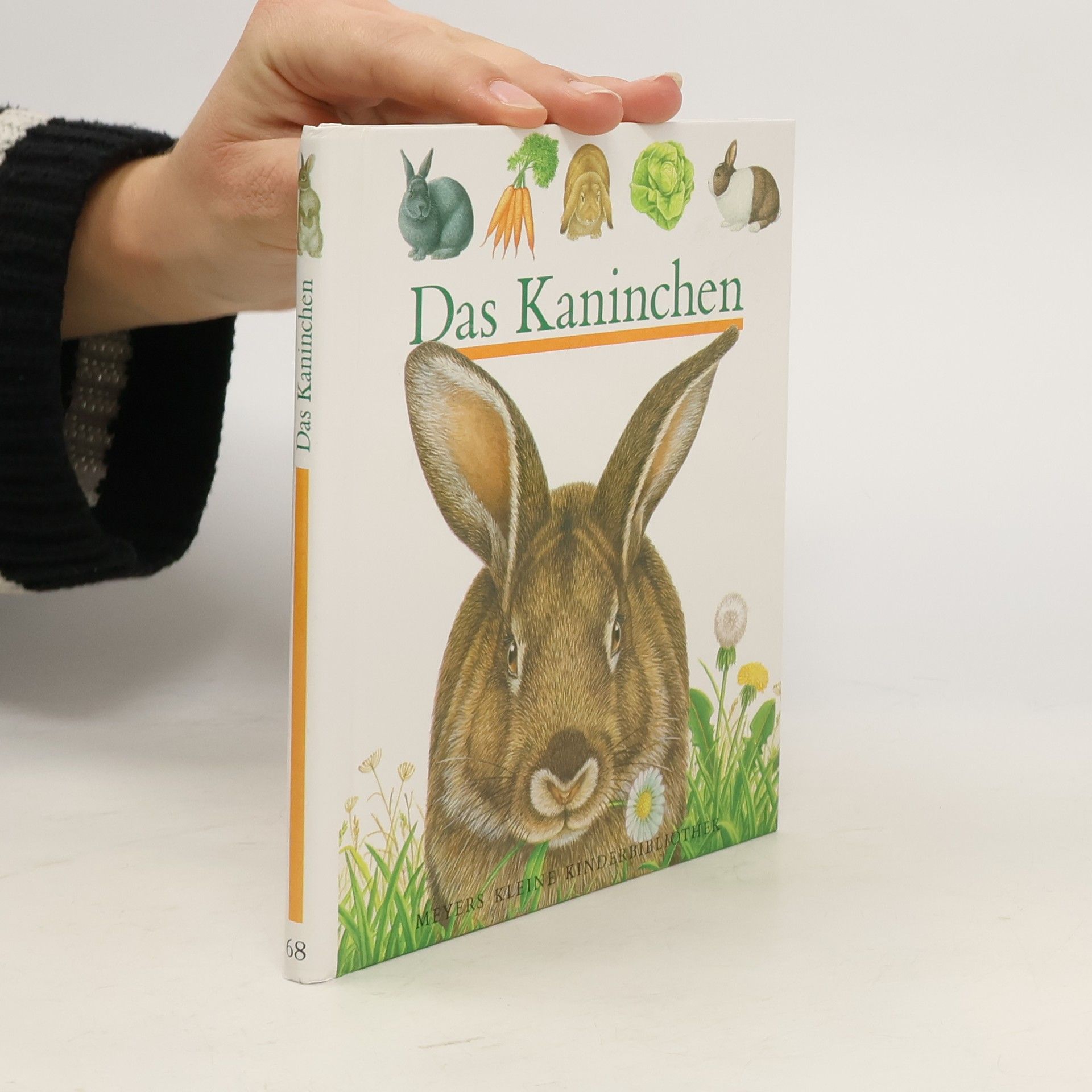 Pierre de Hugo Das Kaninchen