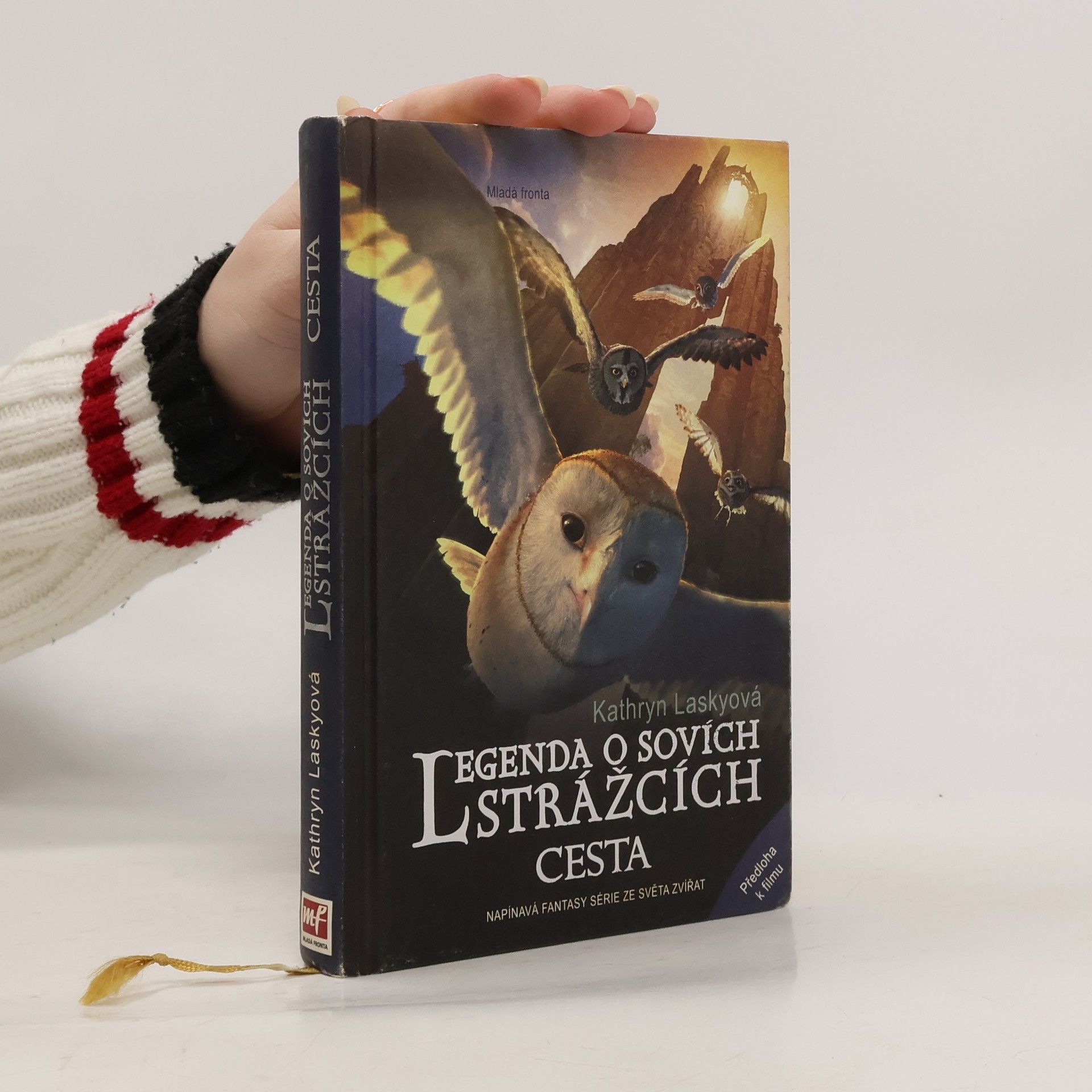Legenda o sovích strážcích. II., Cesta