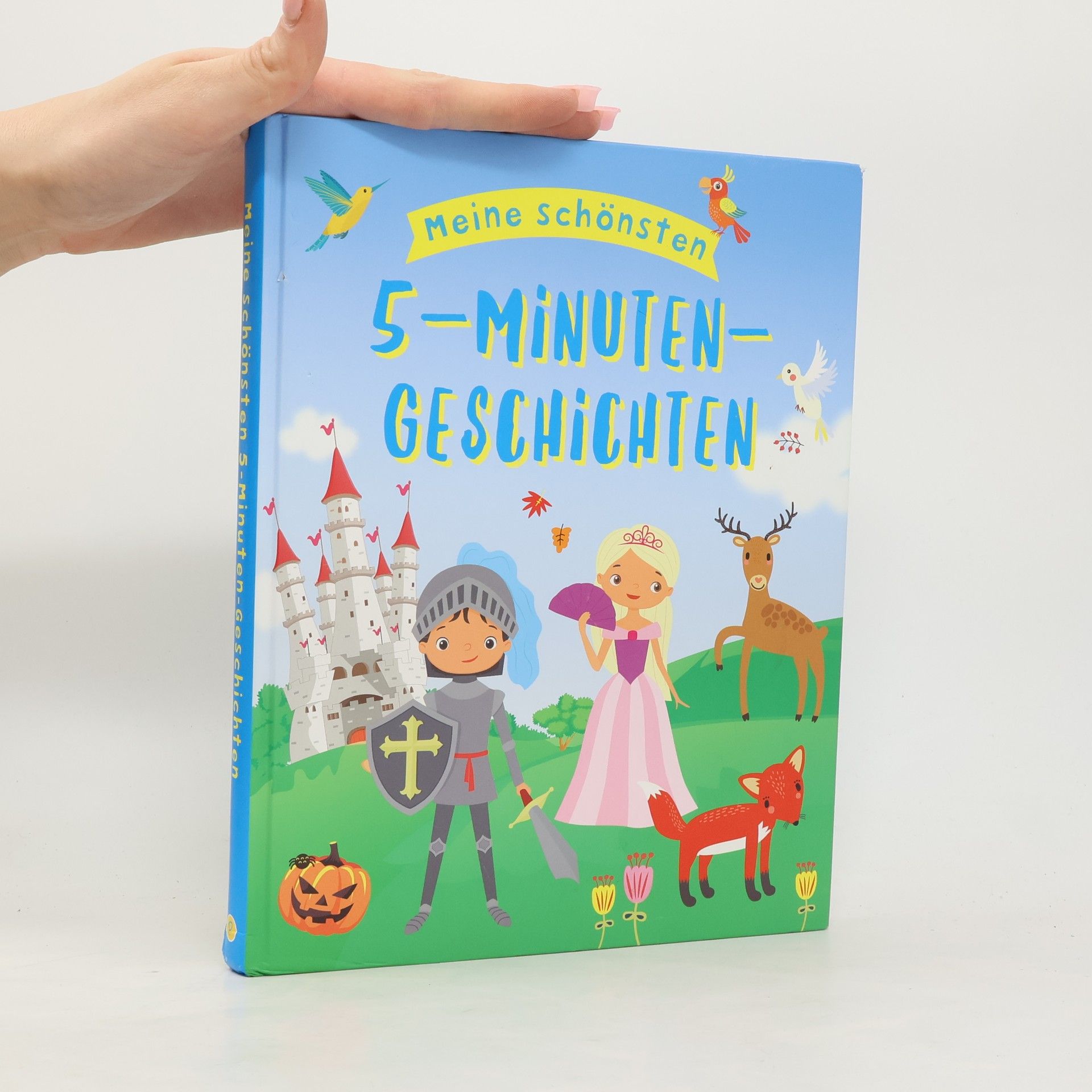 Autorenkollektiv Meine schönsten 5-Minuten-Geschichten