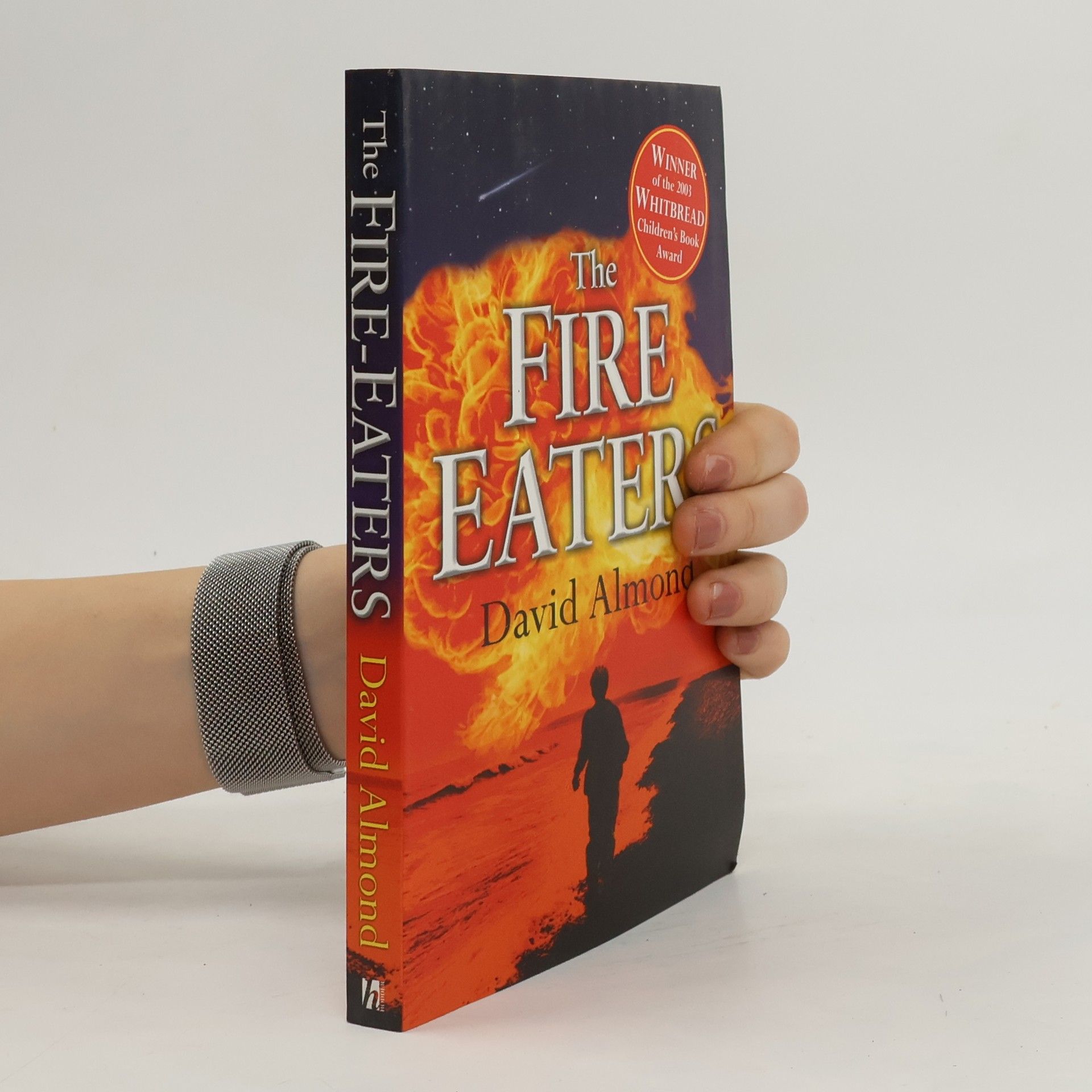 David Almond The Fire-Eaters