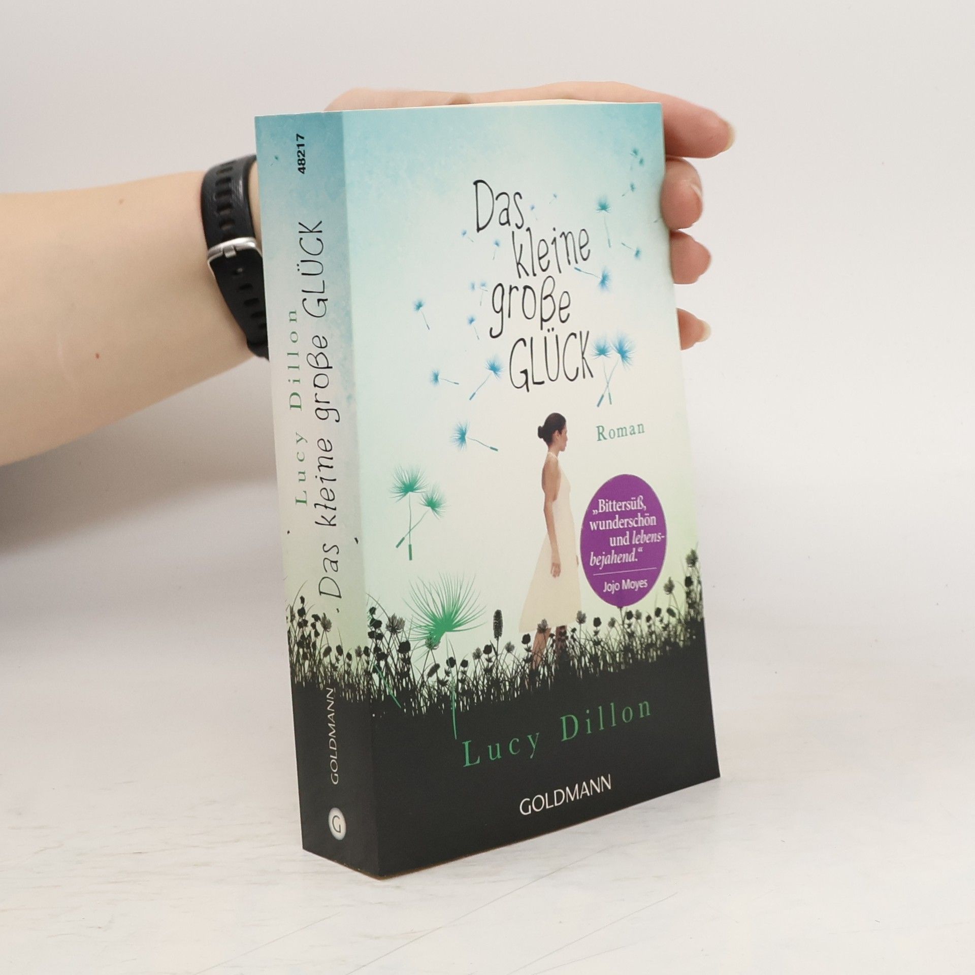 Lucy Dillon Das kleine große Glück