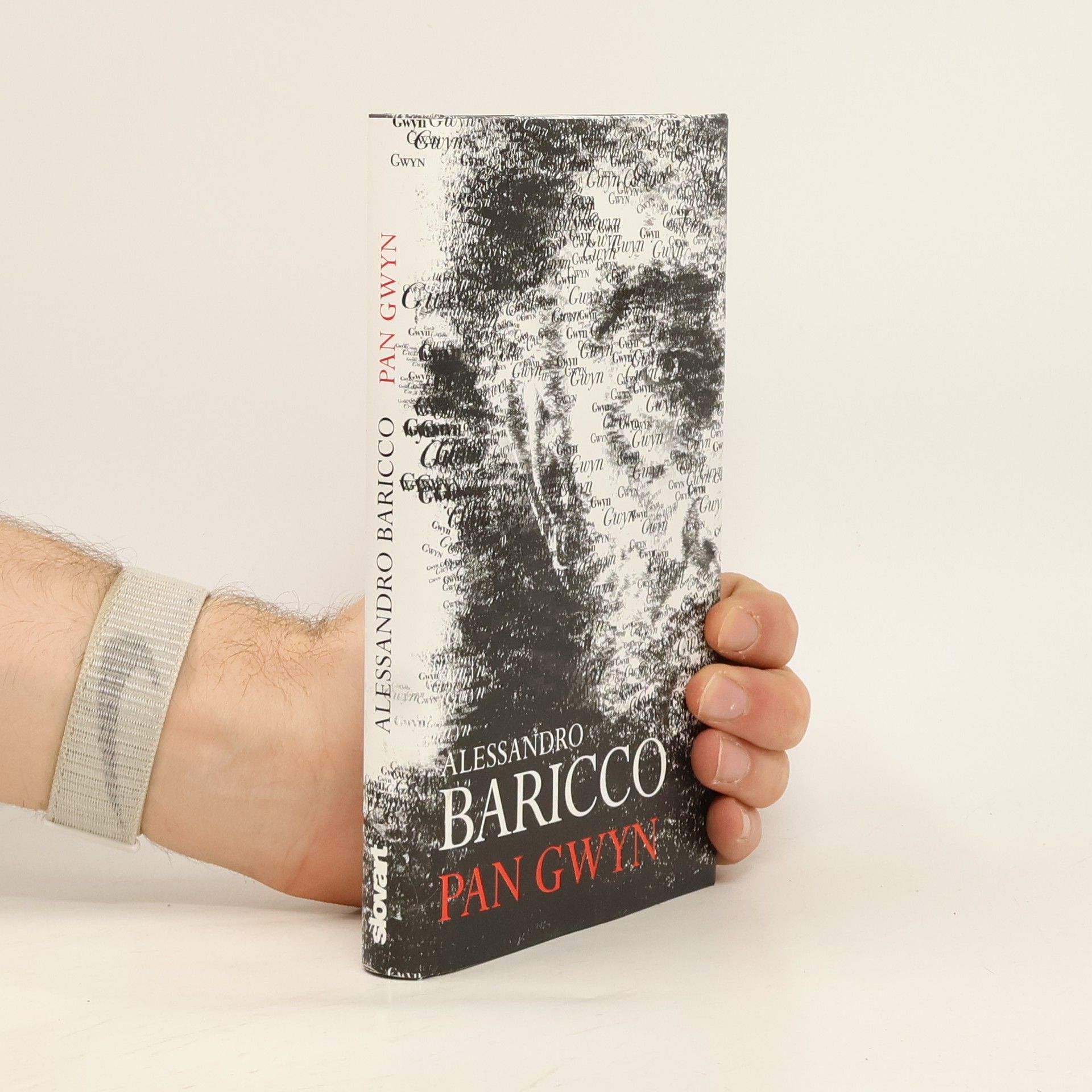 Alessandro Baricco Pan Gwyn