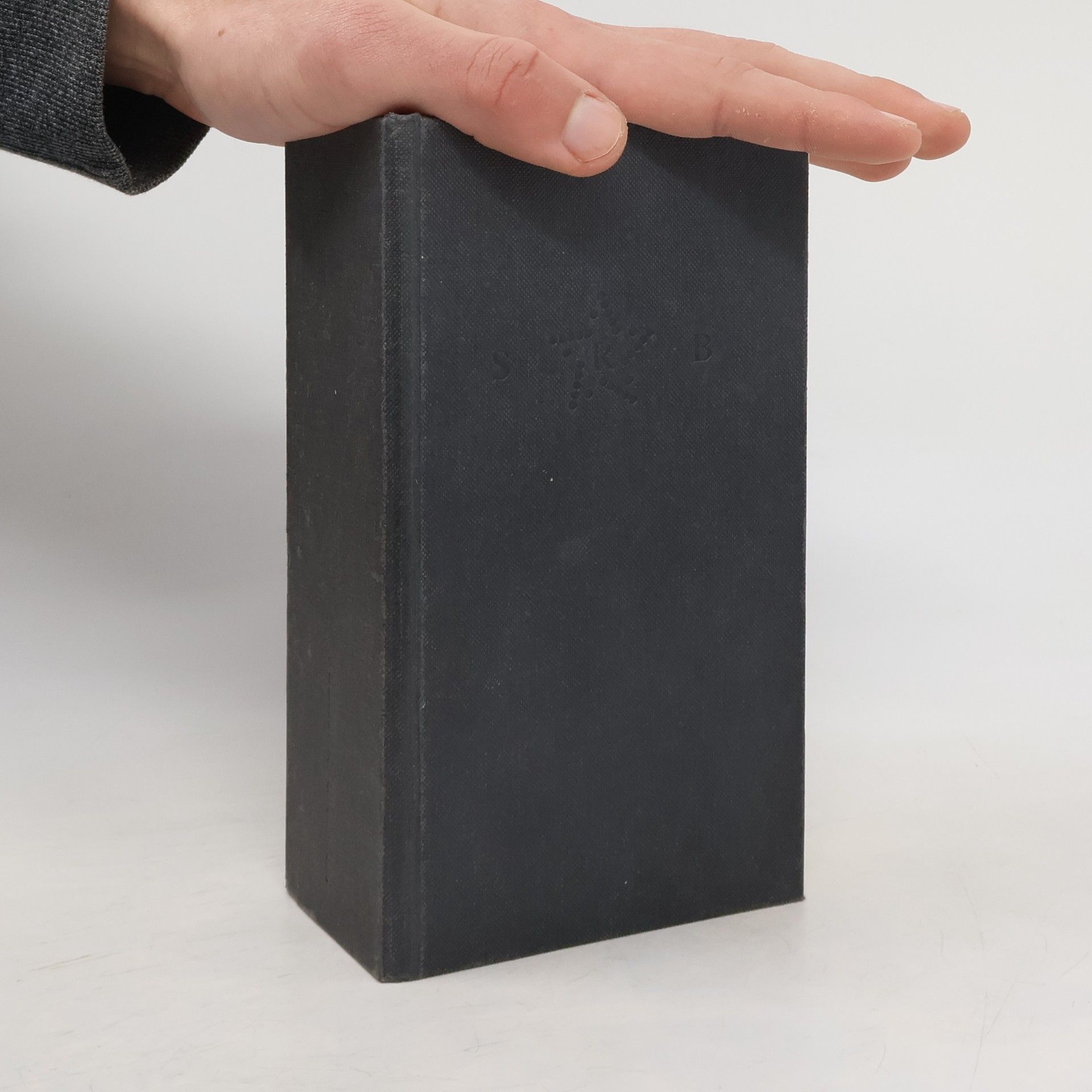 Silvio R. Baviera Die Durchtunnelung der Normalität