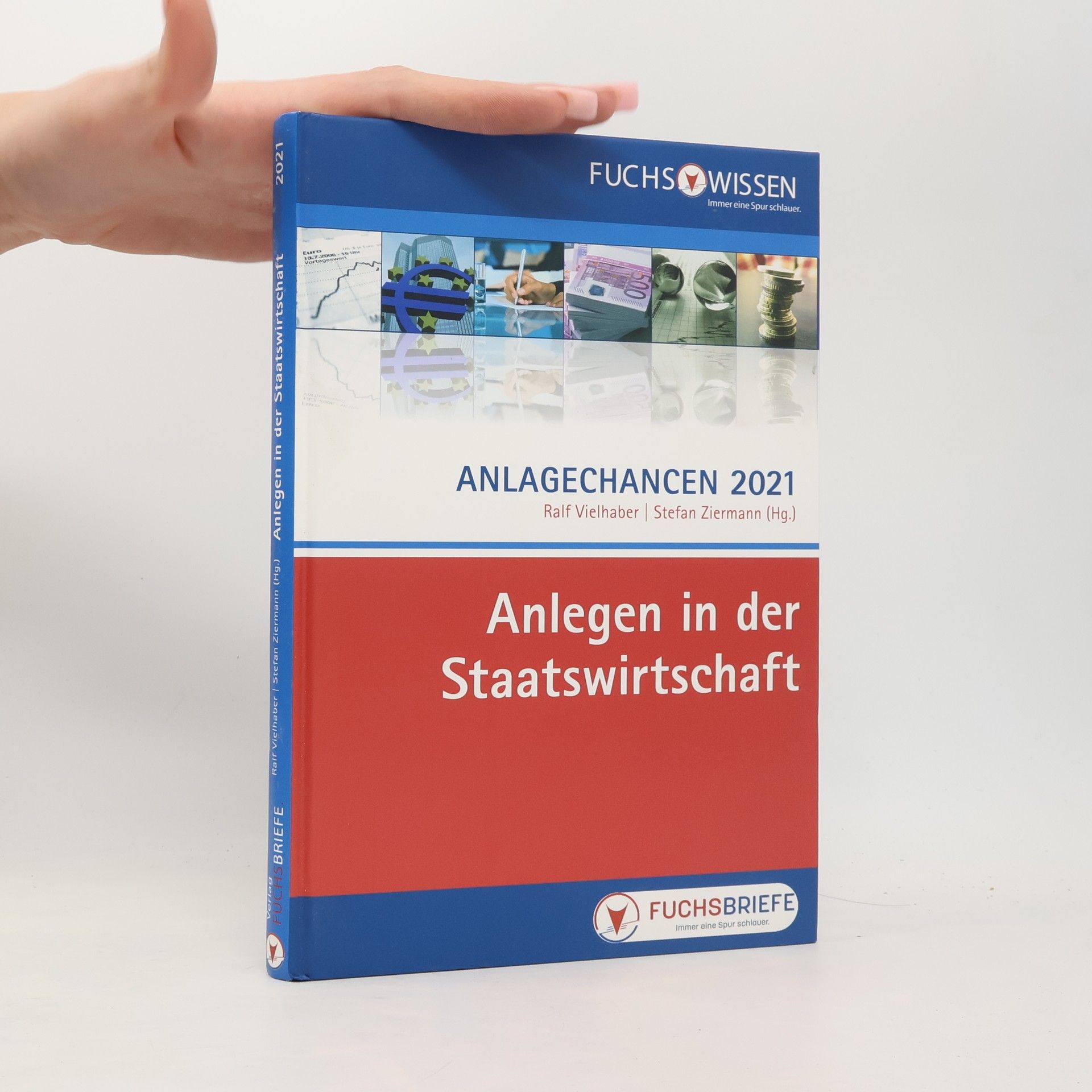 Autorenkollektiv Anlegen in der Staatswirtschaft