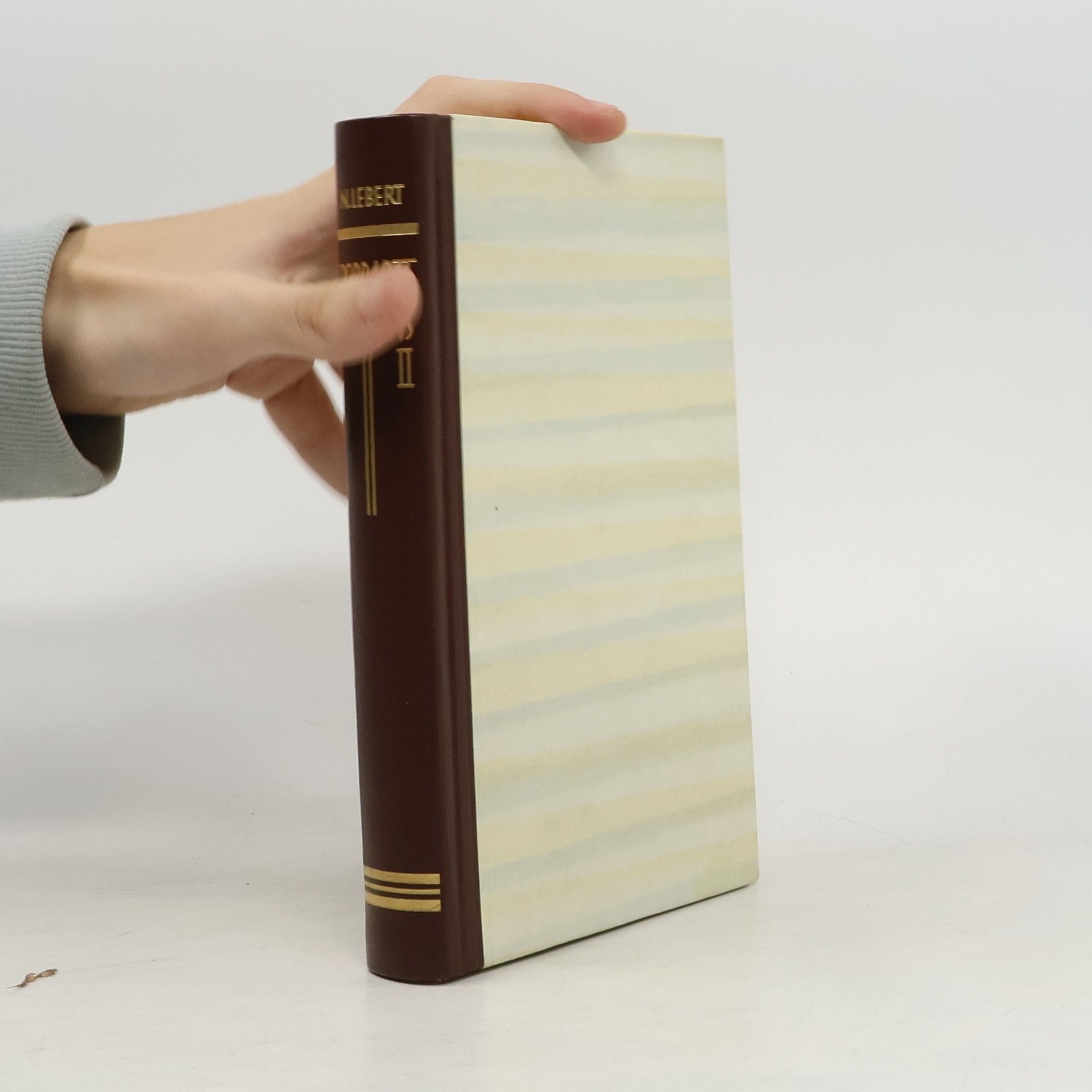 Bordarzt Steffens II