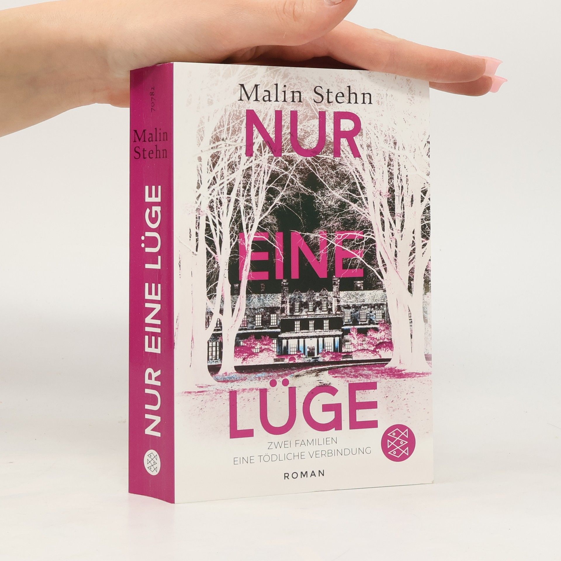 Malin Stehn Nur eine Lüge – Zwei Familien, eine tödliche Verbindung. Der psychologisch einfühlsame, spannende Bestseller aus Schweden
