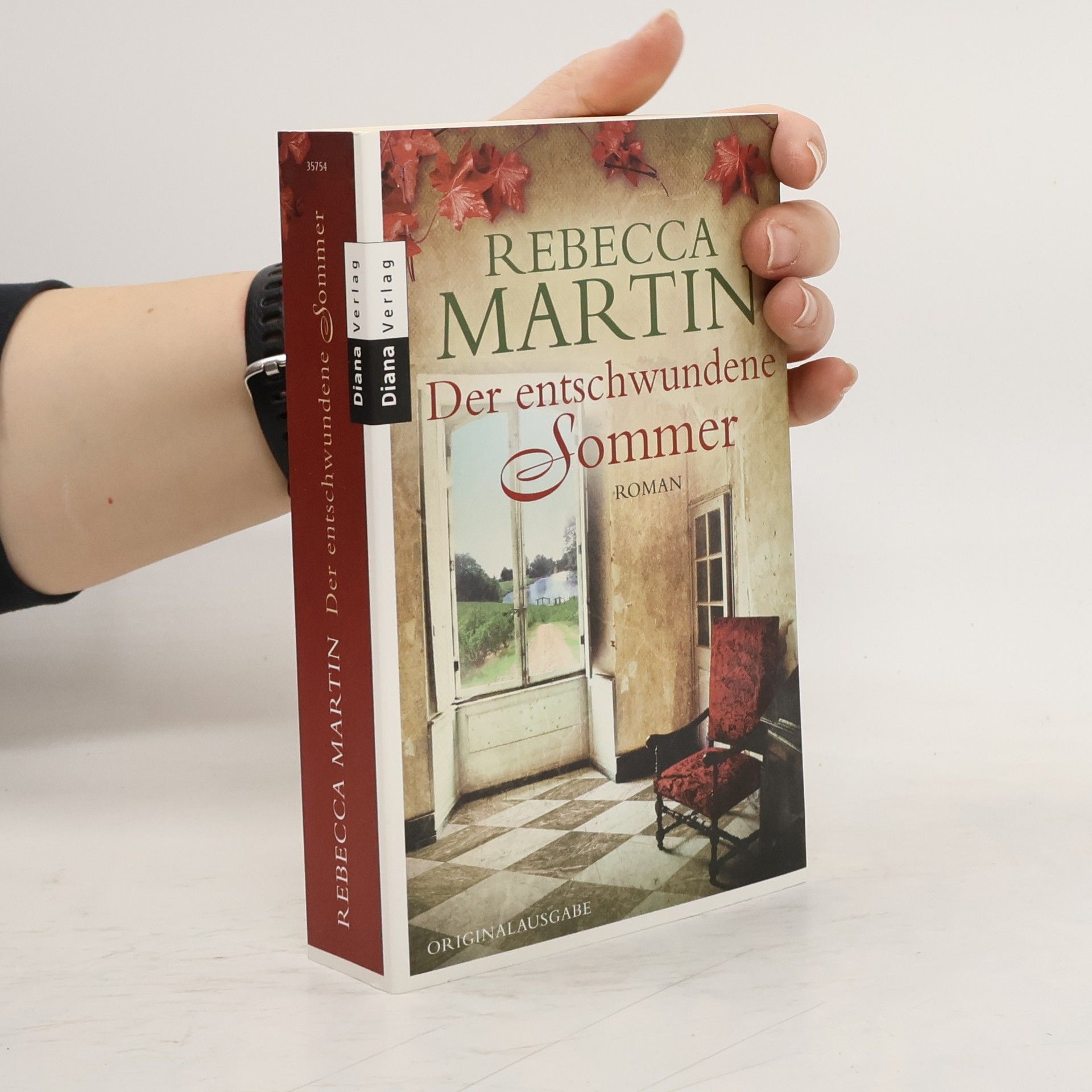 Rebecca Martin Der entschwundene Sommer