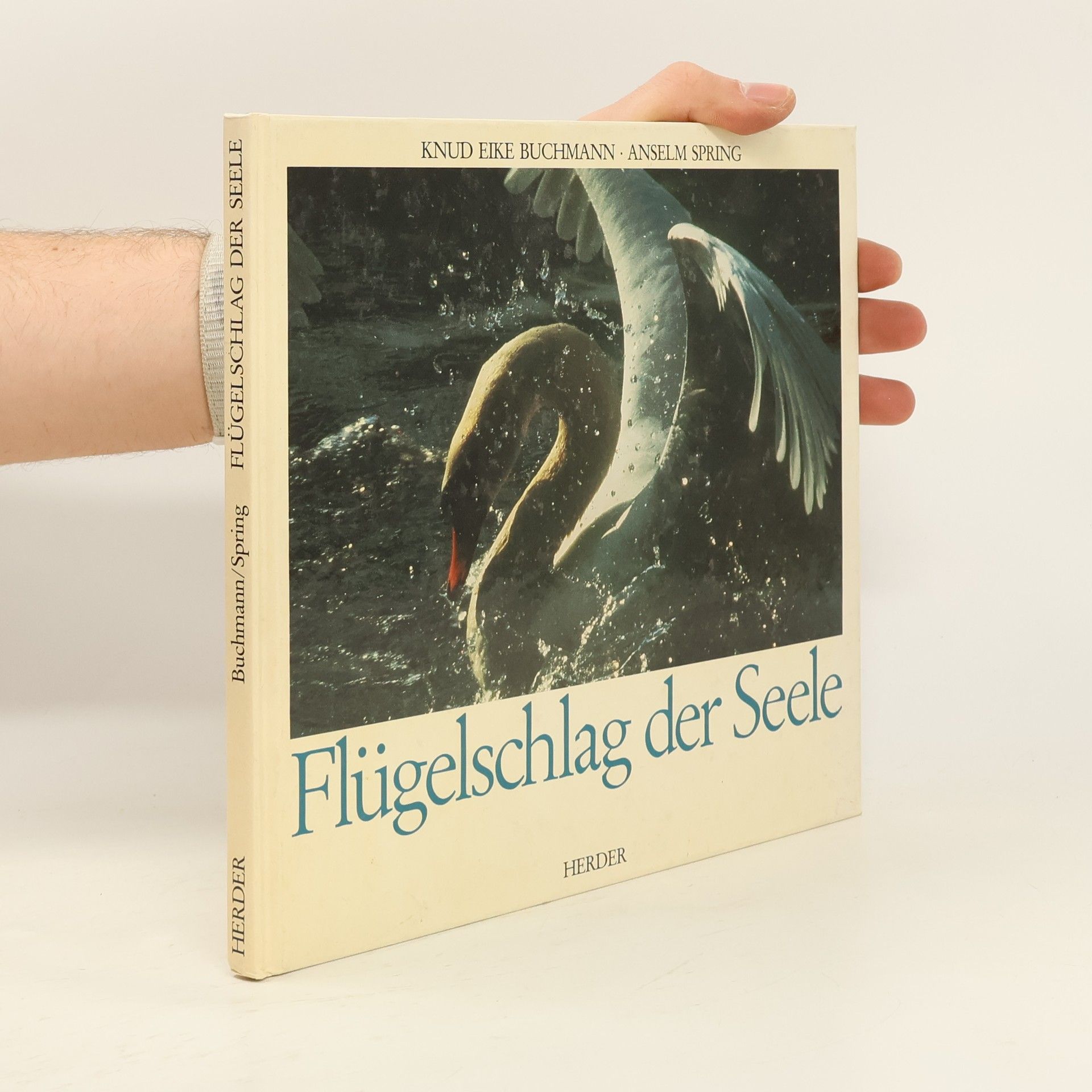 Auteurscollectief Flügelschlag der Seele