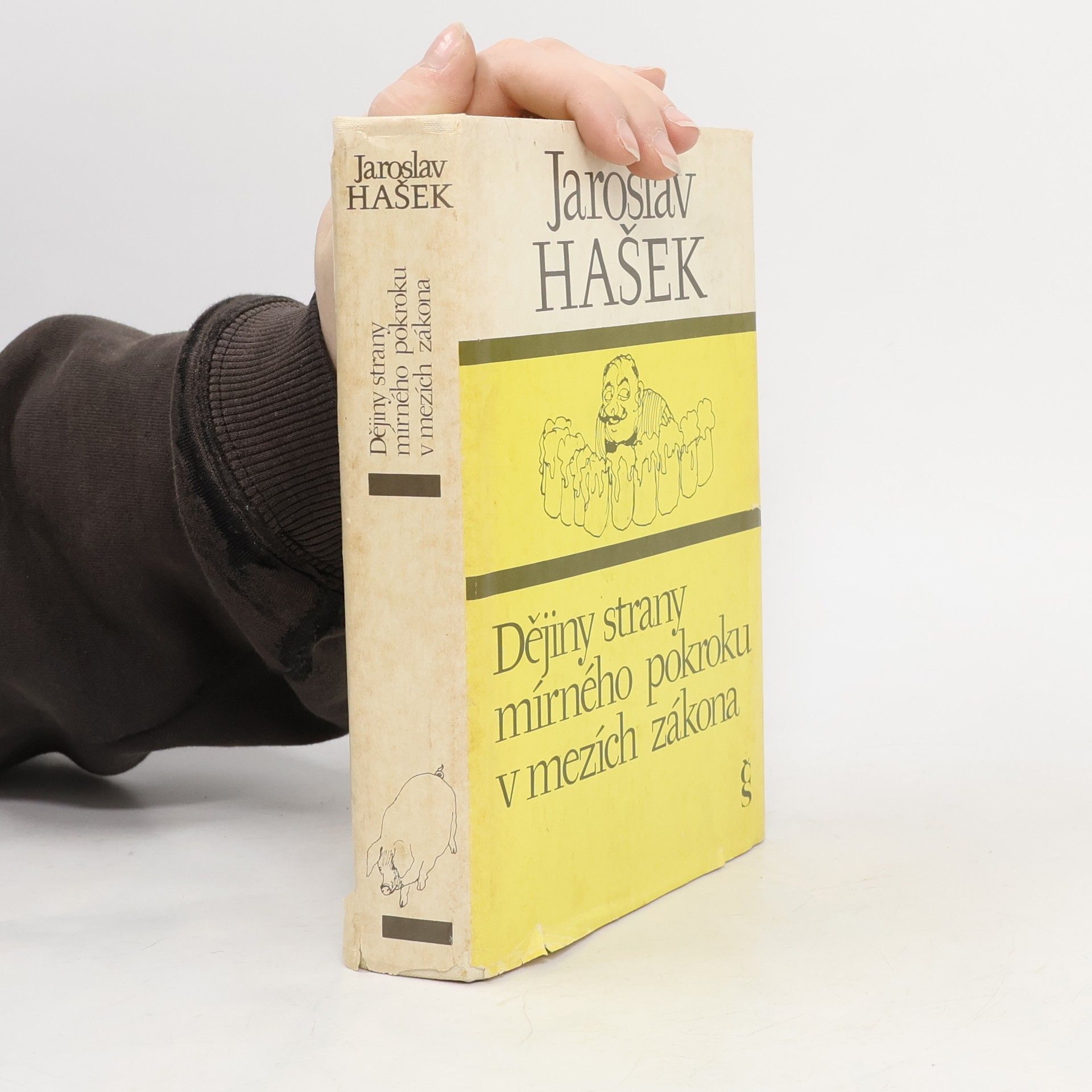 Dějiny strany mírného pokroku v mezích zákona