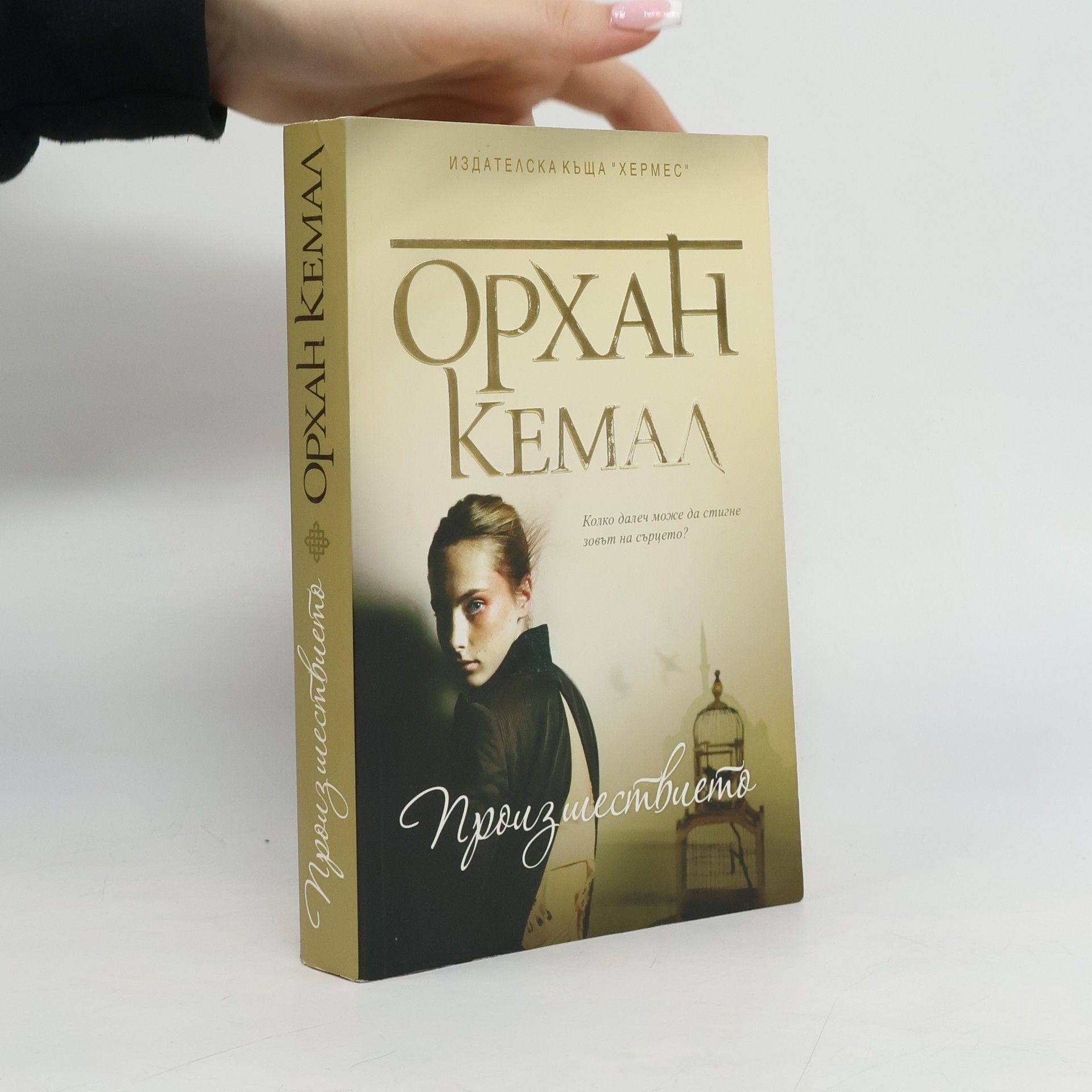 Господарката на чифлика, книга 1. Произшествието