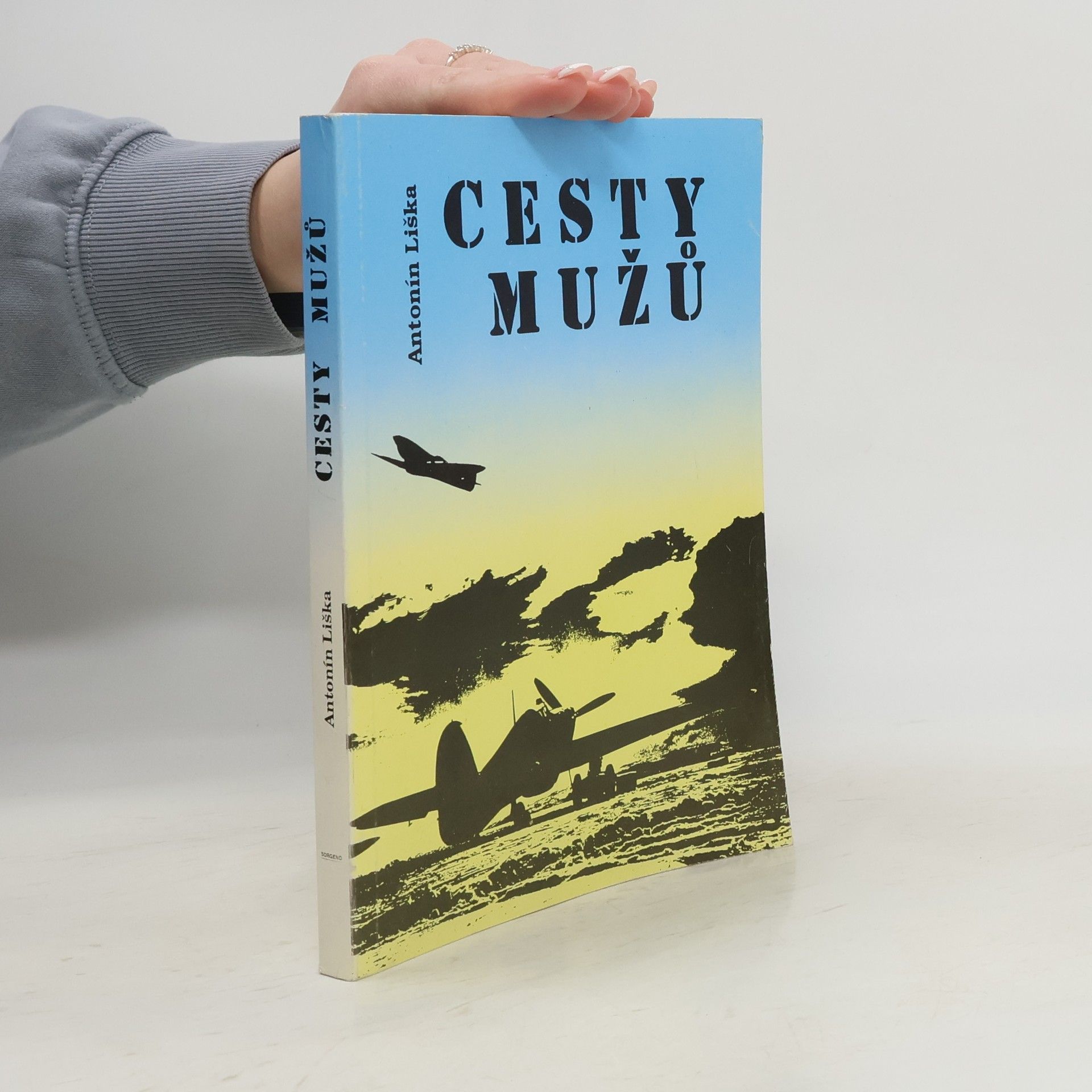 Antonín Liška Cesty mužů