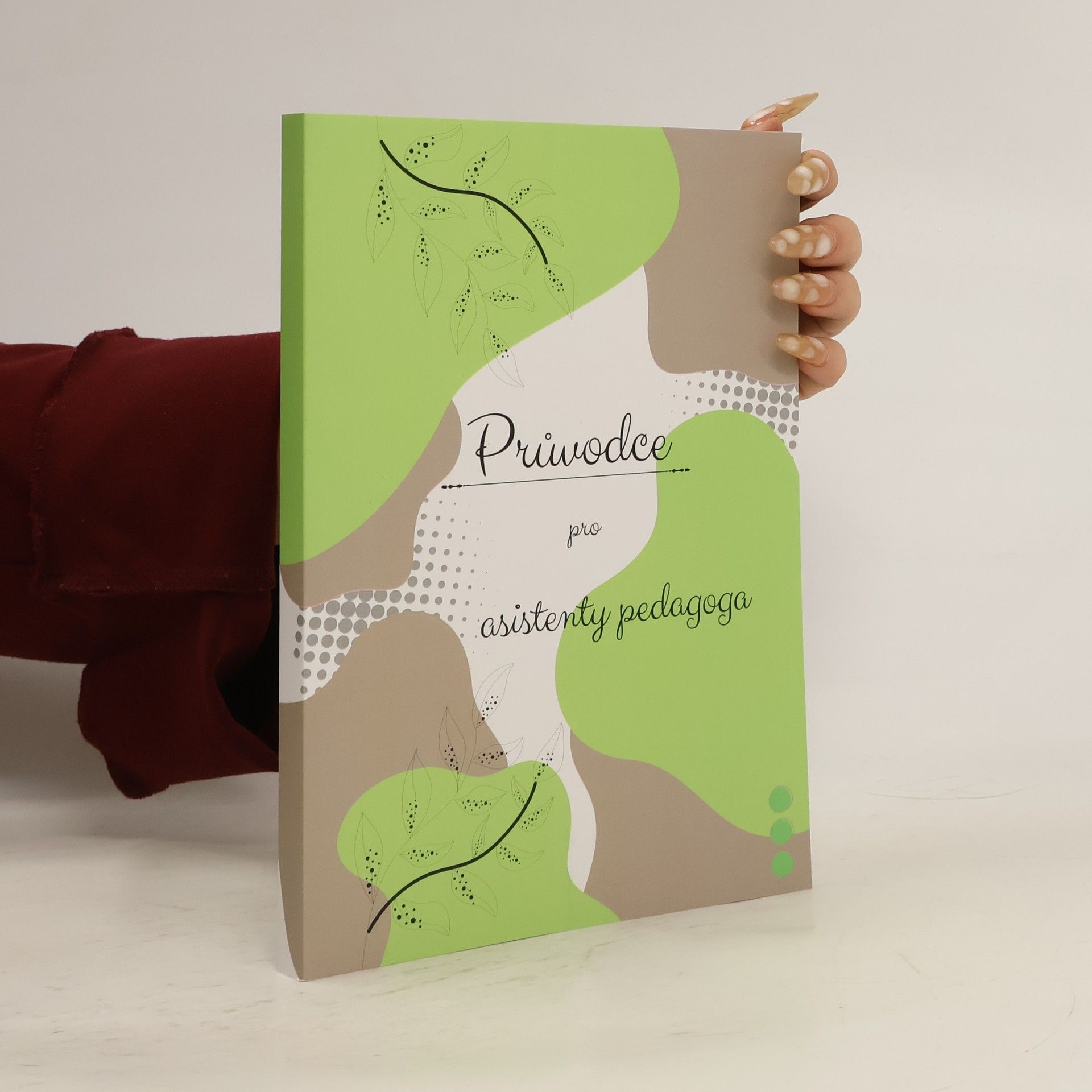 Andrea Šenfeldrová Průvodce pro asistenty pedagoga