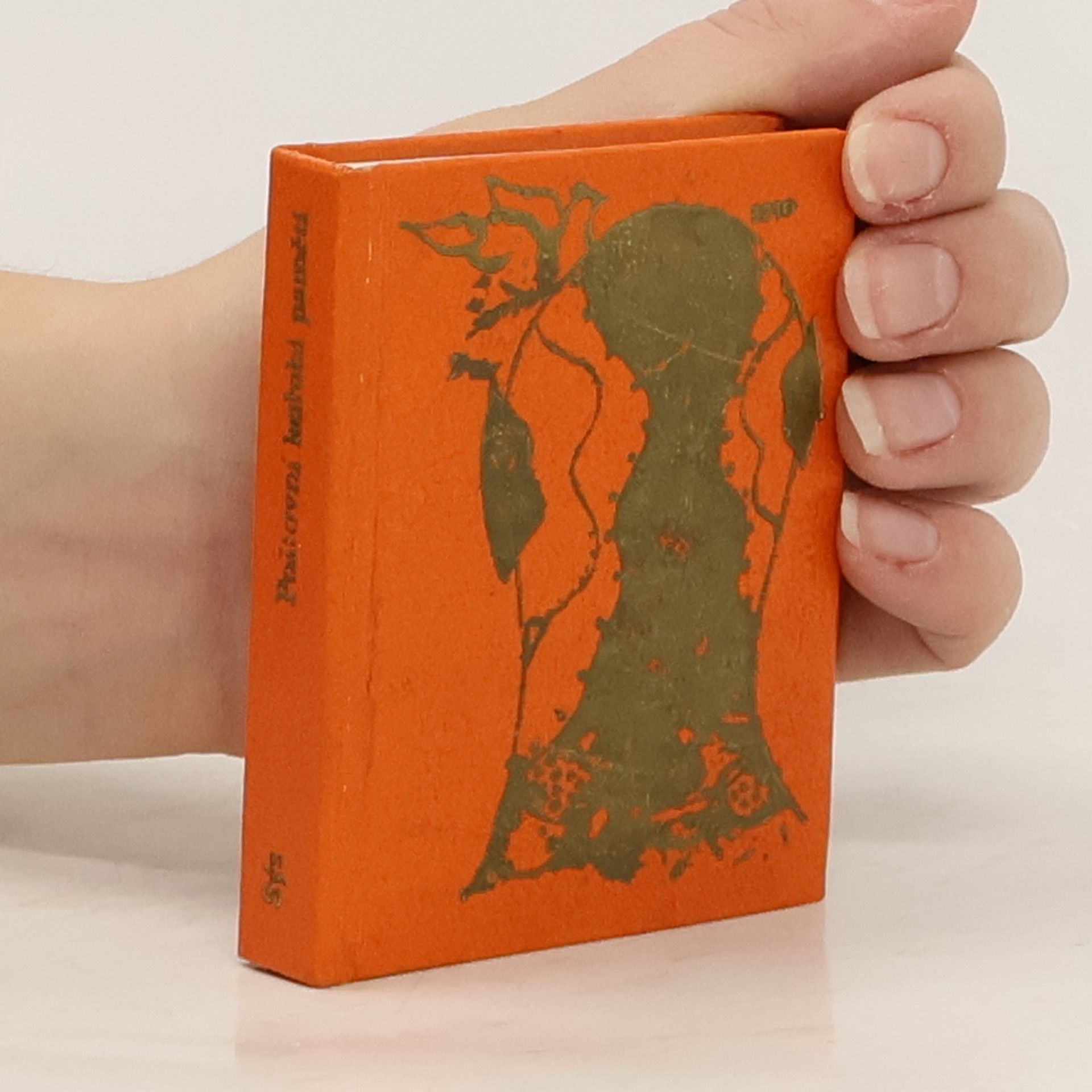 Karel Sýs Poštovní holubi paměti