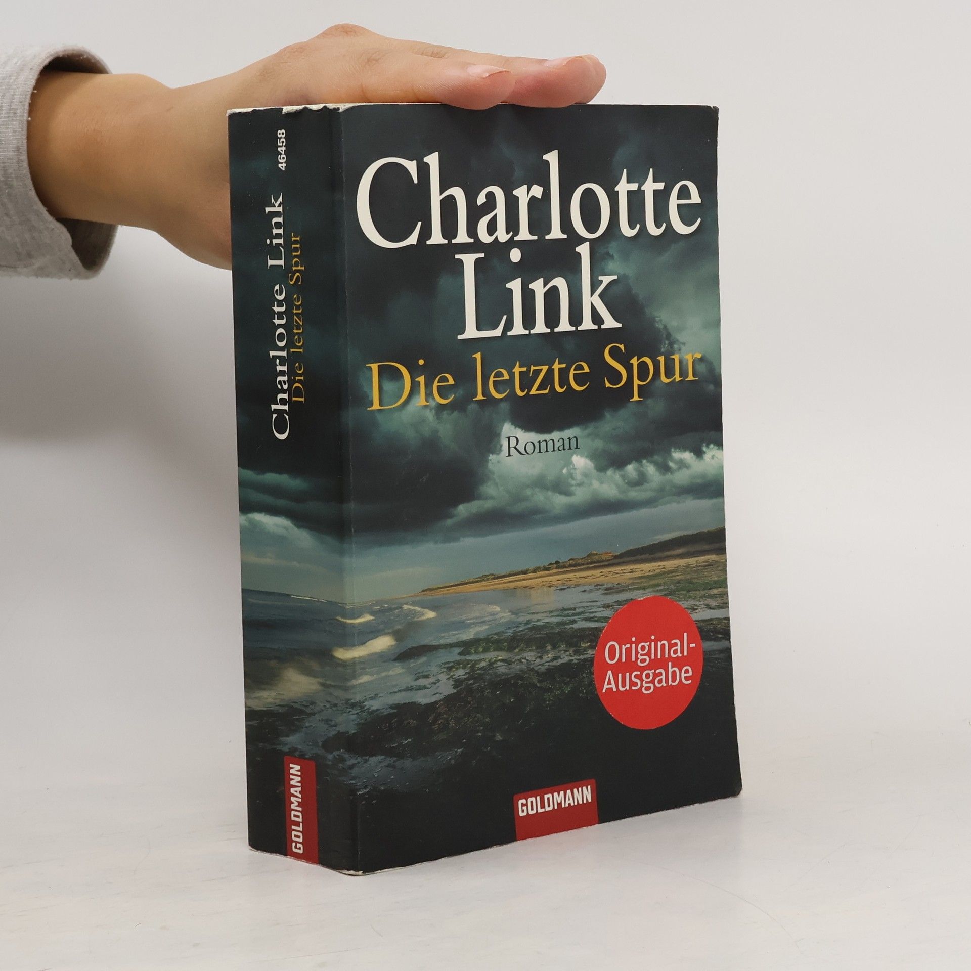 Charlotte Link Die letzte Spur