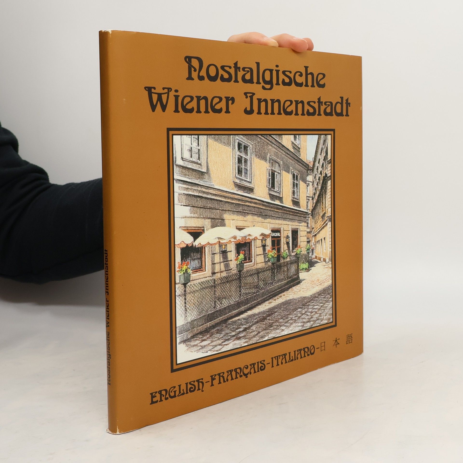 Hans Hecht Nostalgische Wiener Innenstadt (Viennas Nostalgic Inner City)