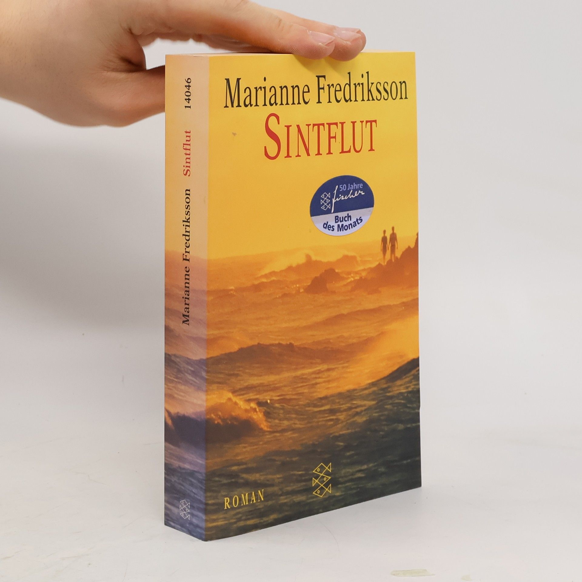Marianne Fredriksson Sintflut