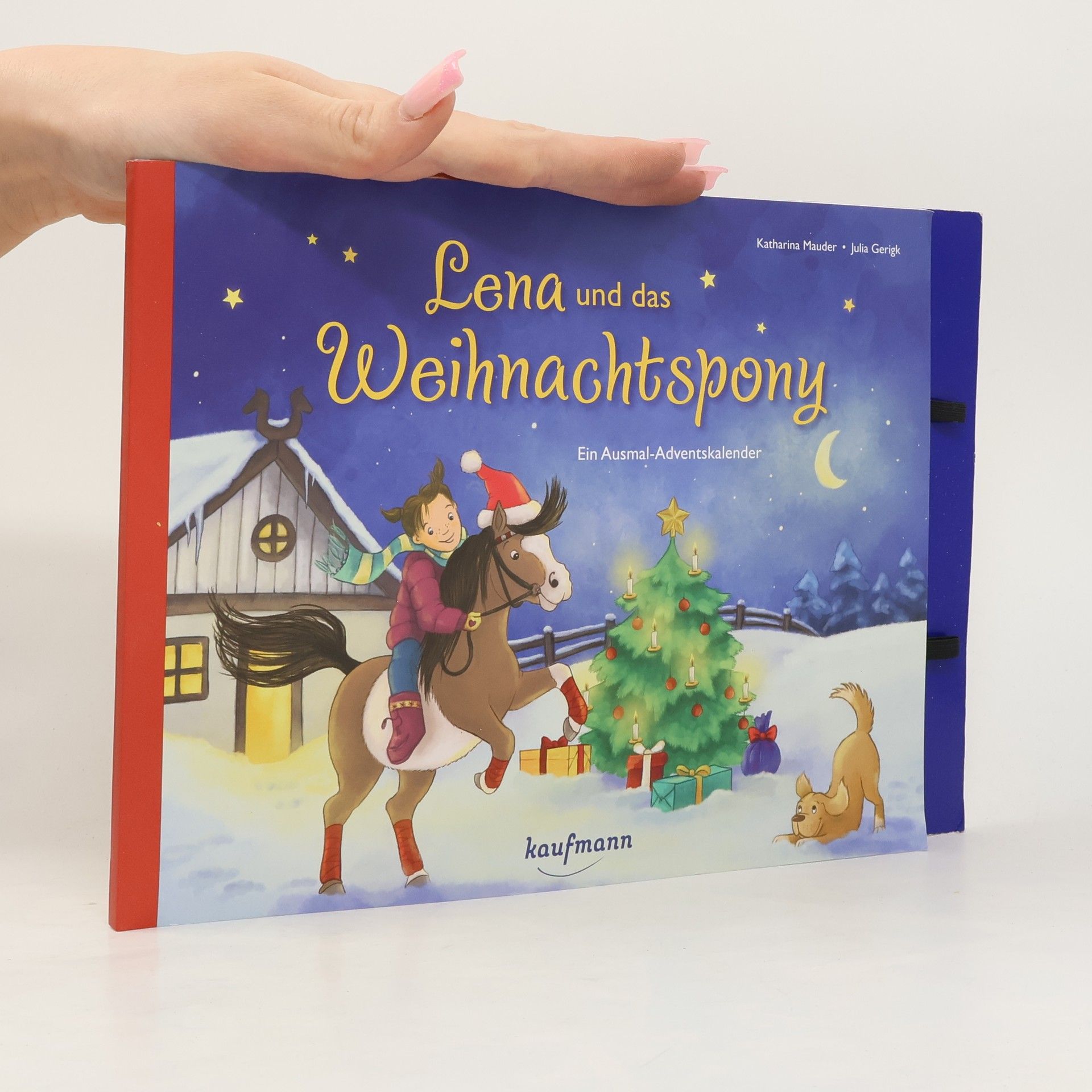 Katharina Mauder Lena und das Weihnachtspony