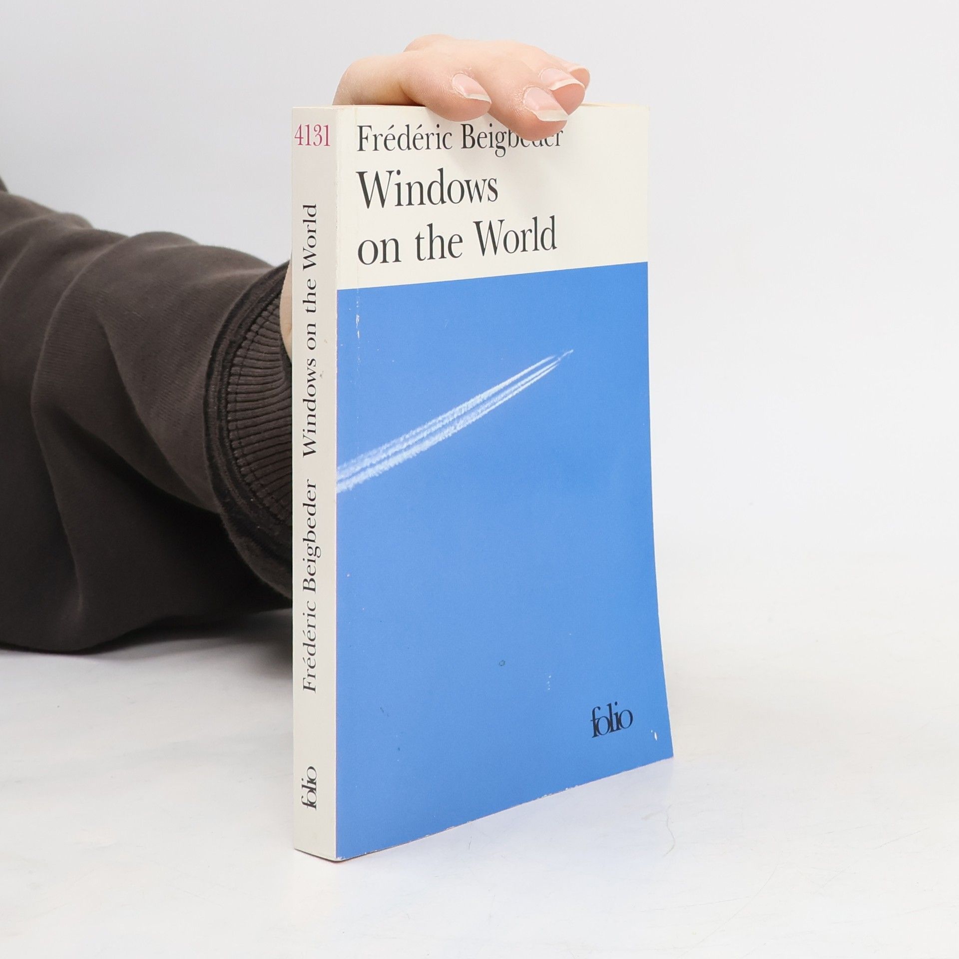 Frédéric Beigbeder Windows on the World
