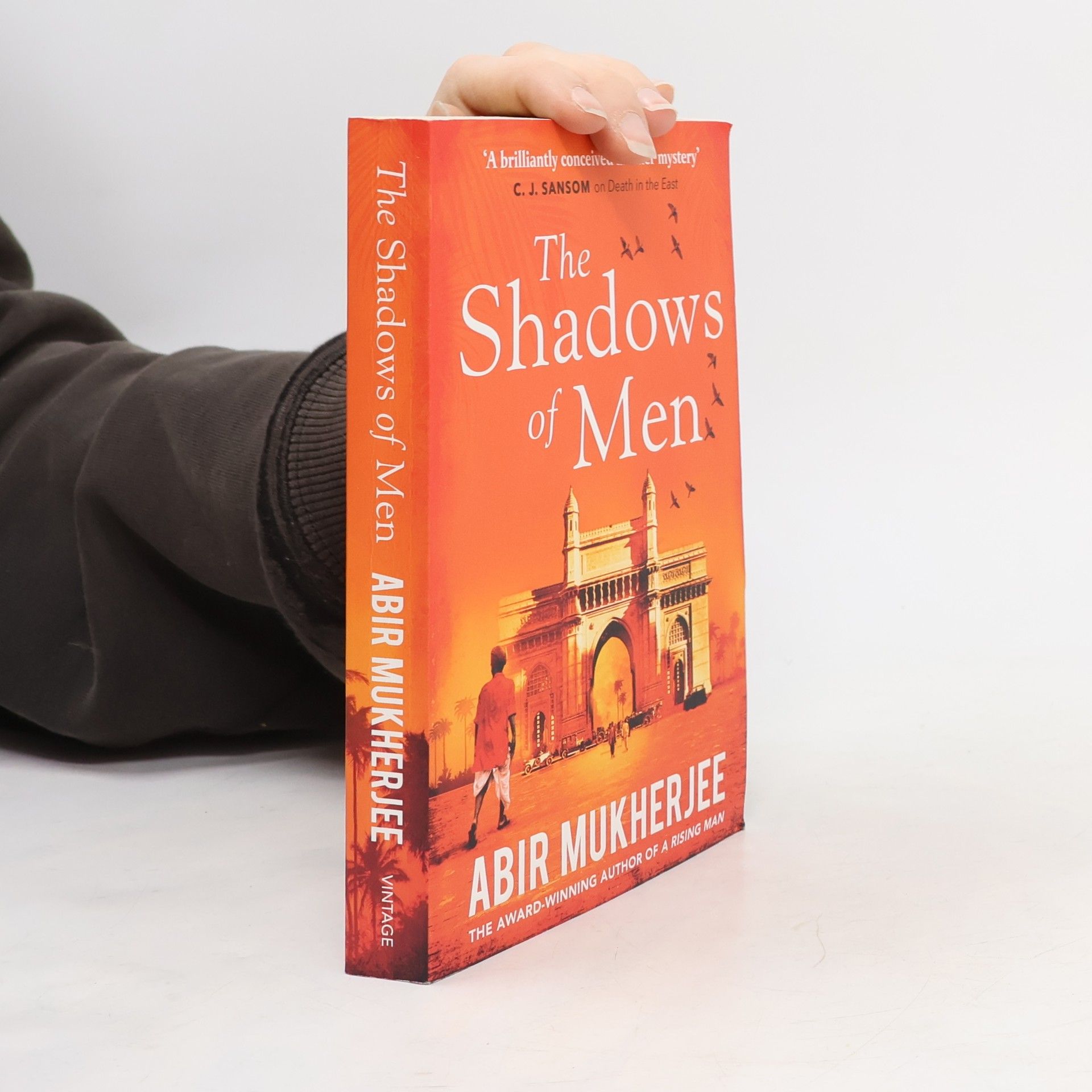 Abir Mukherjee The Shadows of Men