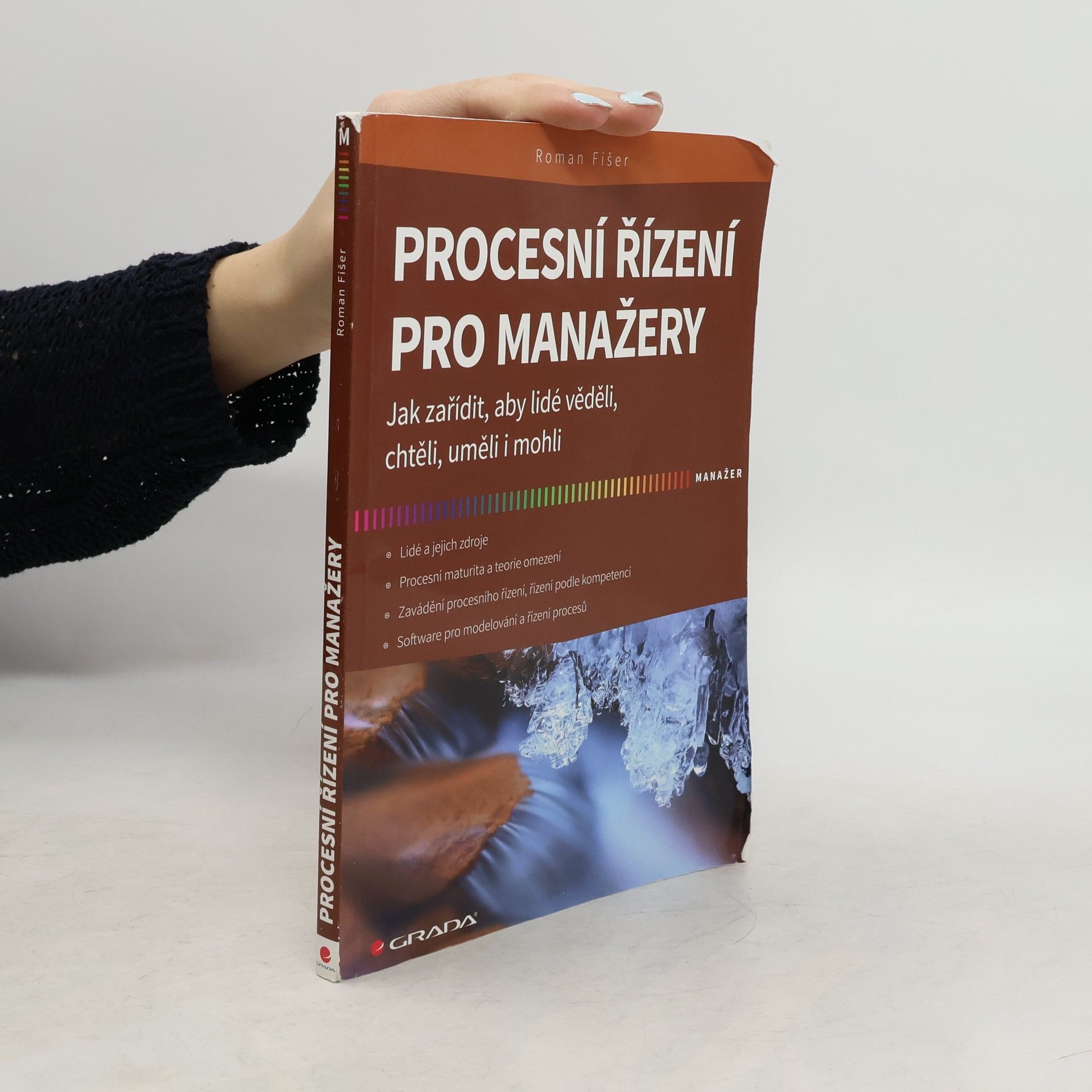 Roman Fišer Procesní řízení pro manažery