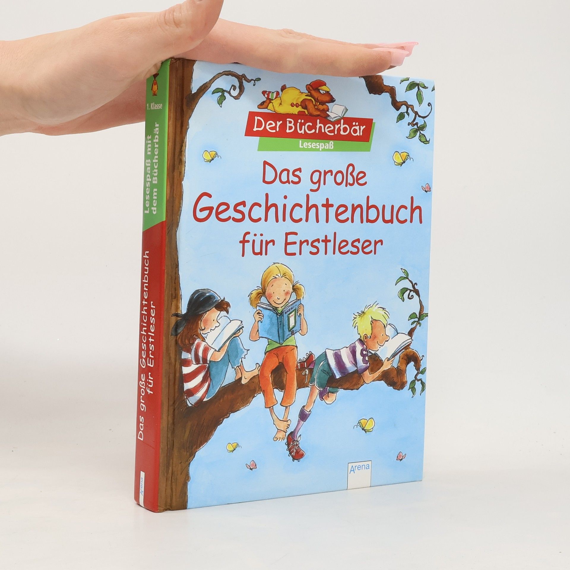 Autorenkollektiv Das große Geschichtenbuch für Erstleser