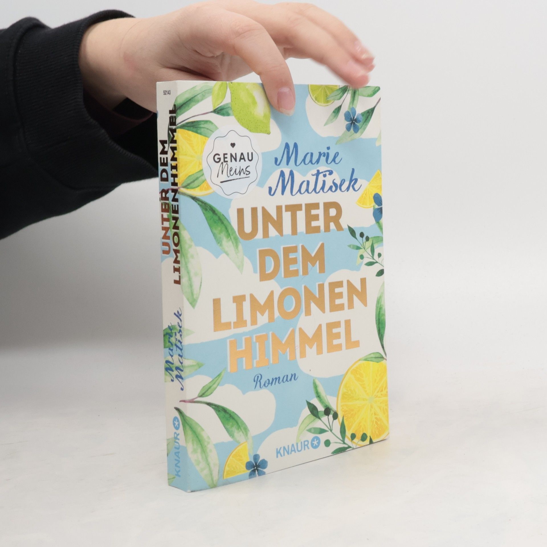 Marie Matisek Unter dem Limonenhimmel