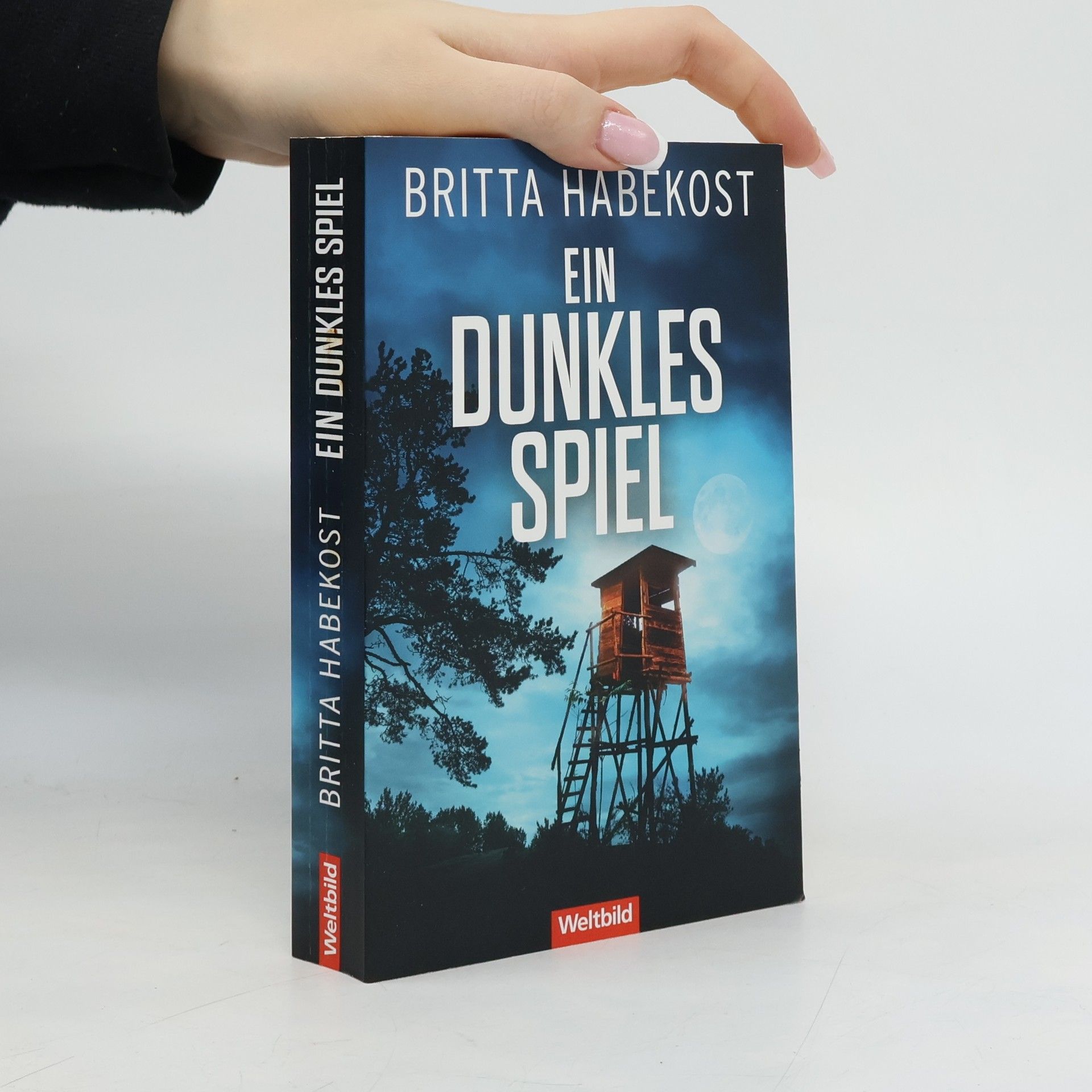 Britta Habekost Ein dunkles Spiel