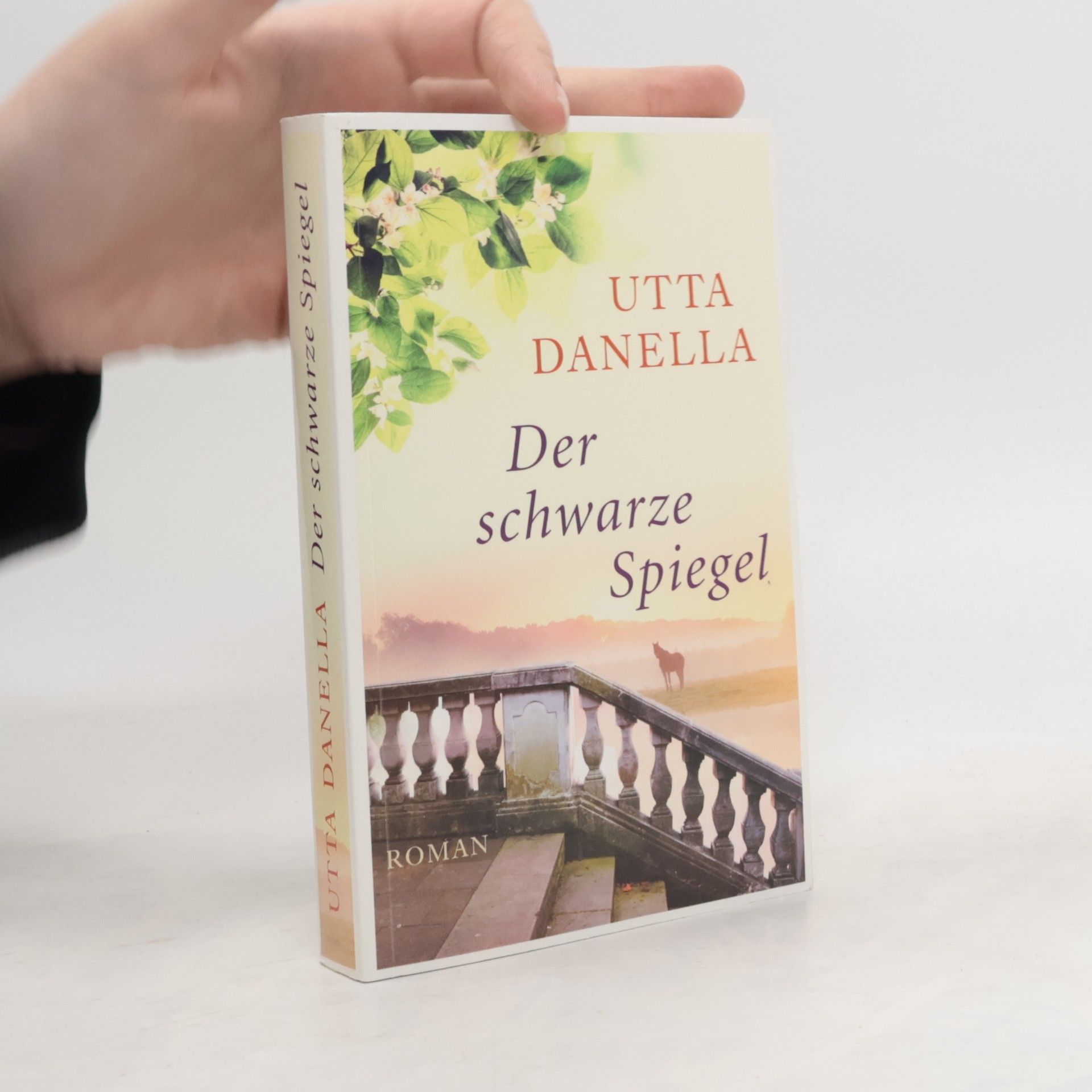 Utta Danella Der schwarze Spiegel