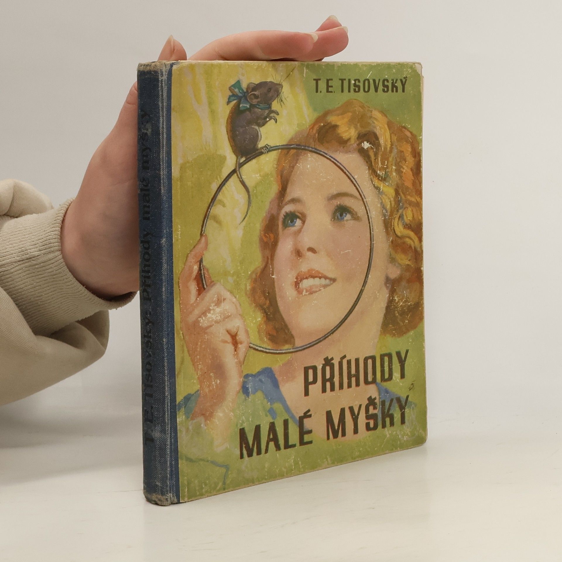 Příhody malé myšky