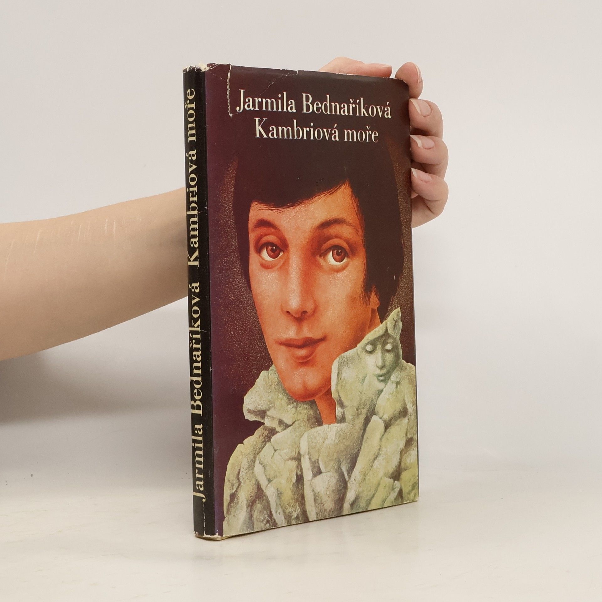 Jarmila Bednaříková Kambriová moře