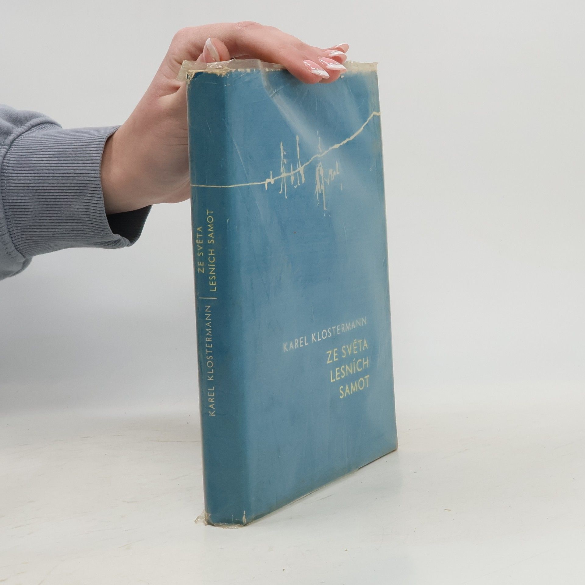 Ze světa lesních samot