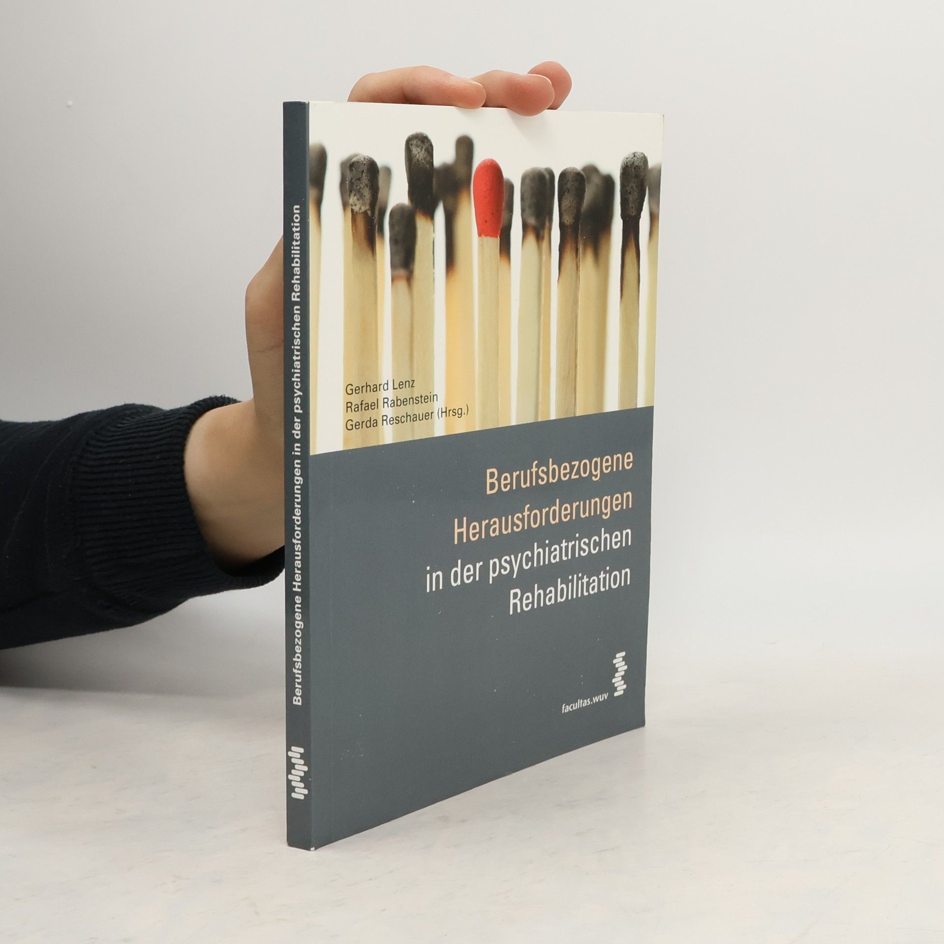 Gerhard Lenz Berufsbezogene Herausforderungen in der psychiatrischen Rehabilitation
