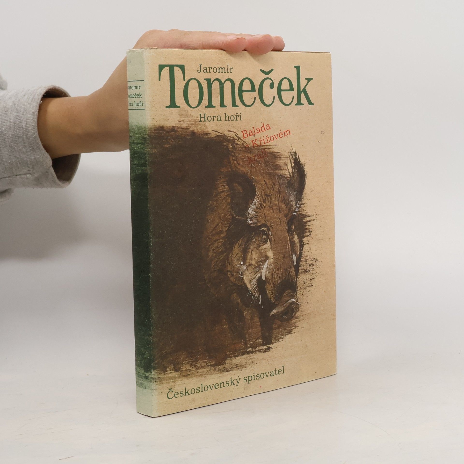 Jaromír Tomeček Hora hoří. Balada o Křížovém králi