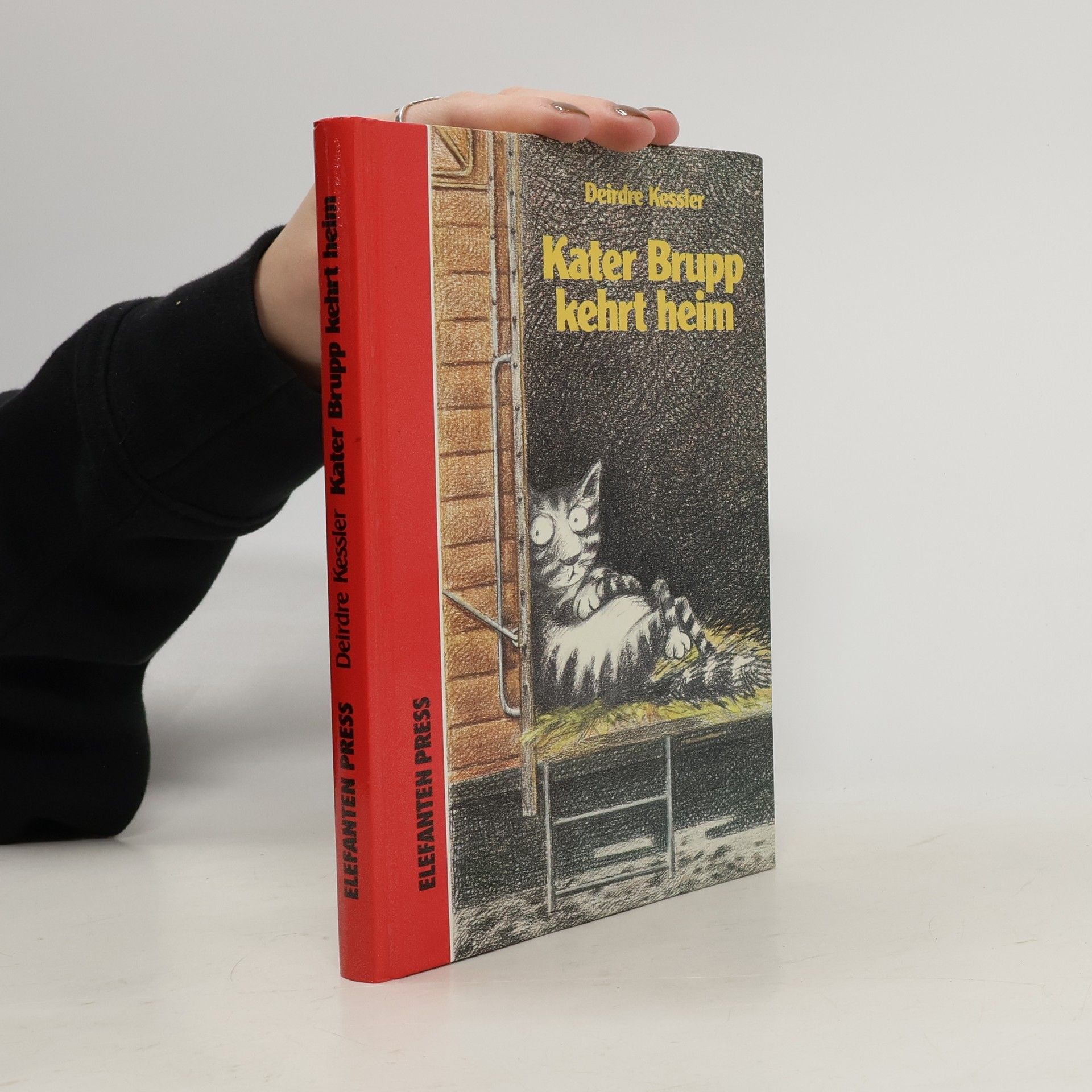 Kater Brupp kehrt heim