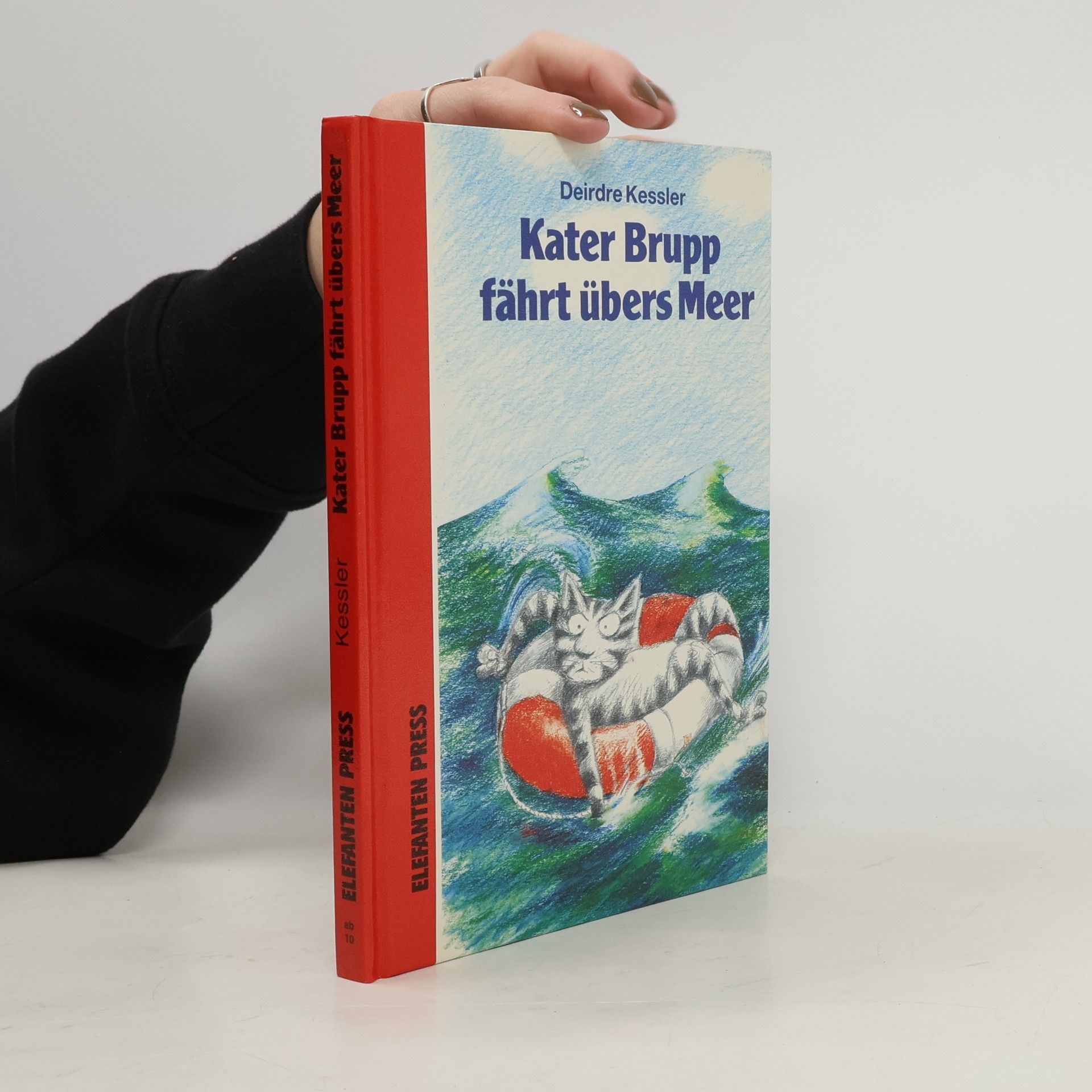 Kater Brupp fährt übers Meer