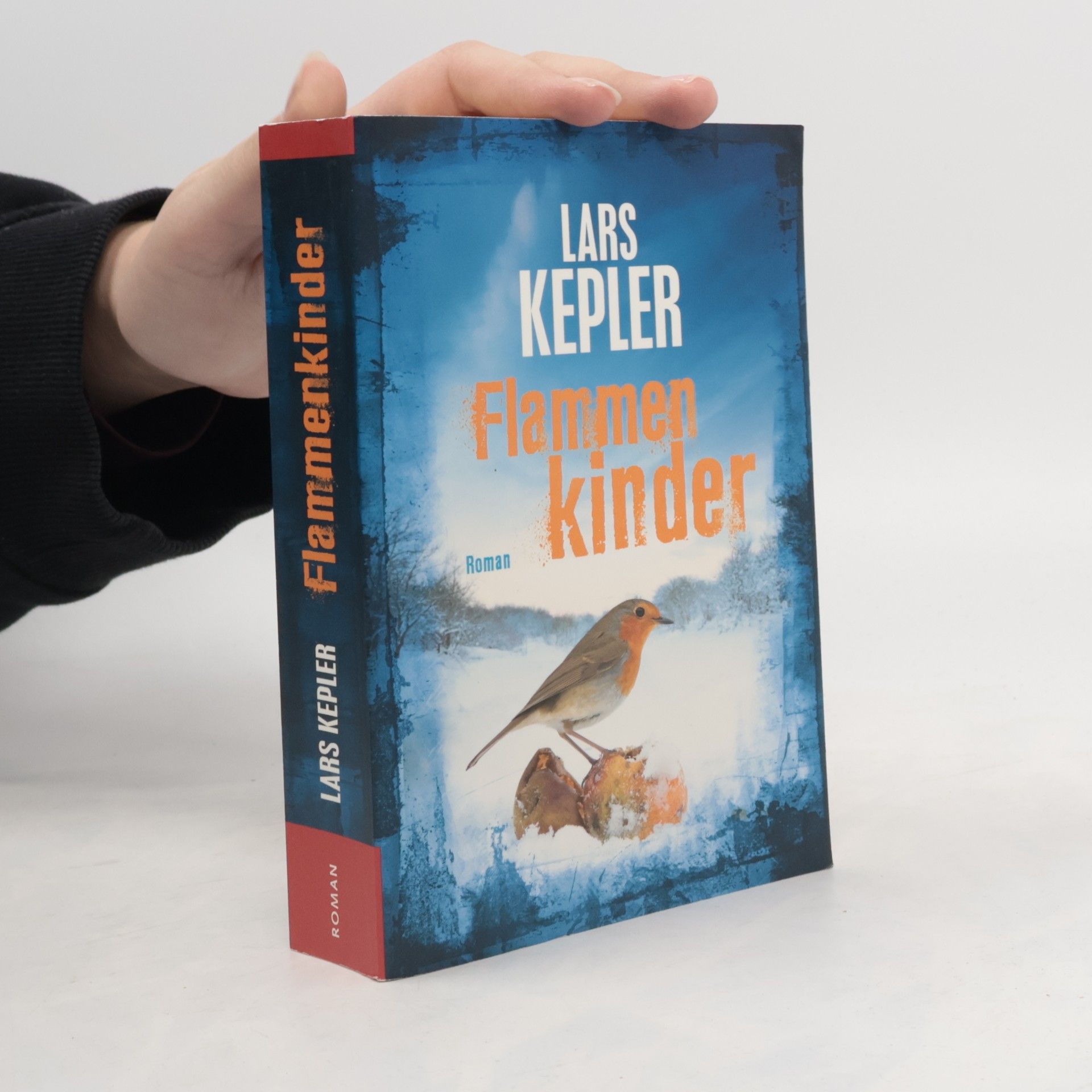 Lars Kepler Flammenkinder