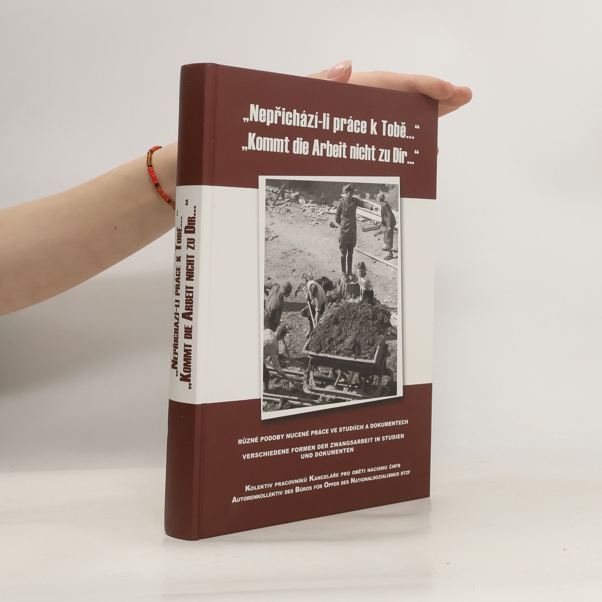 Collectif d'auteurs Nepřichází-li práce k Tobě. Kommt die Arbeit nicht zu Dir...