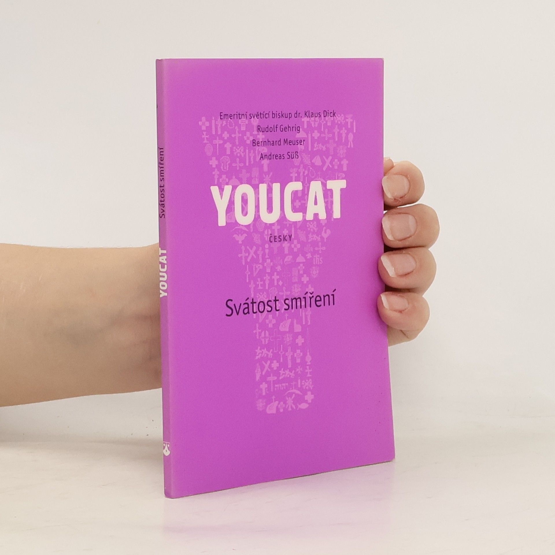 YOUCAT. Svátost smíření