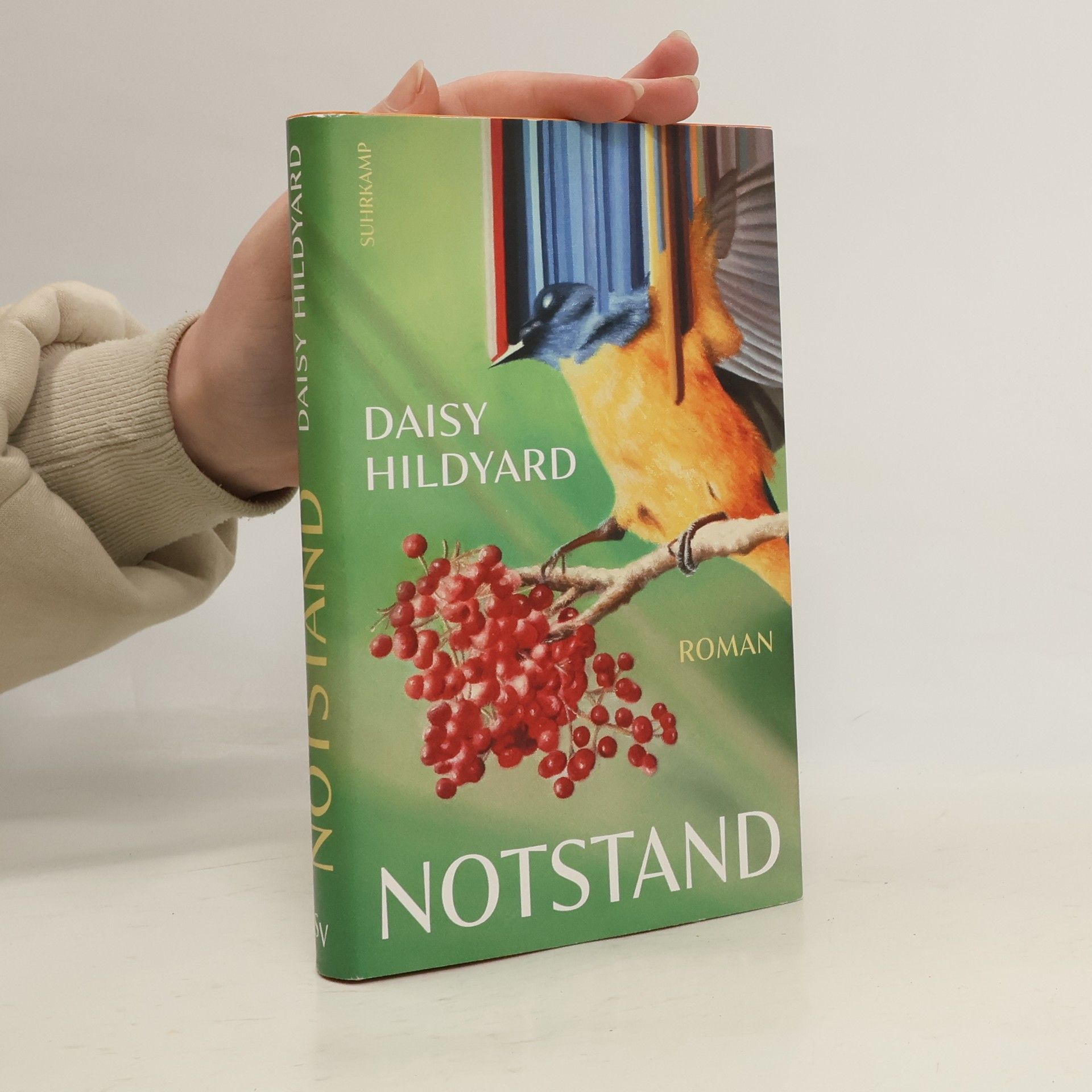 Daisy Hildyard Notstand