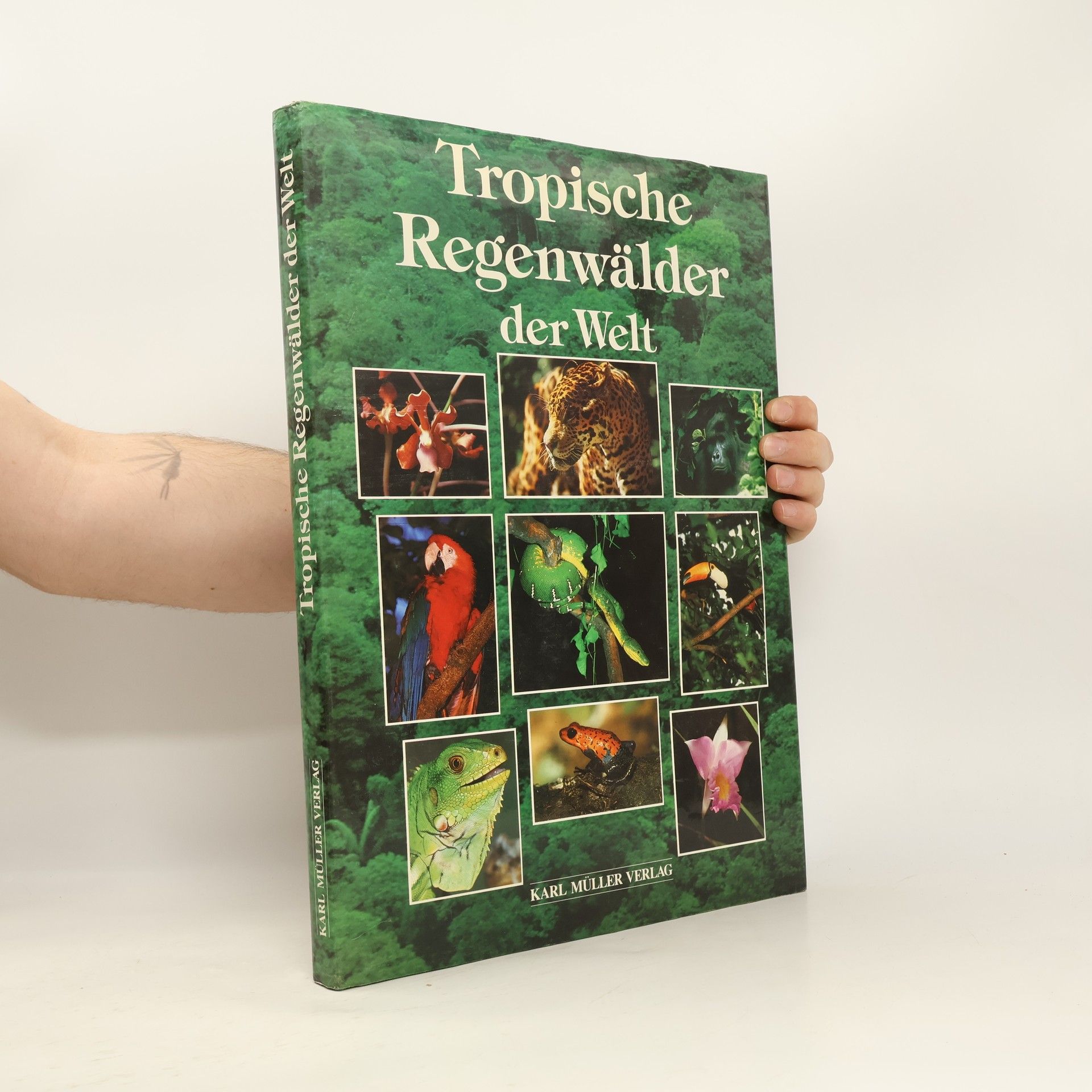 Autorenkollektiv Tropische Regenwälder der Welt