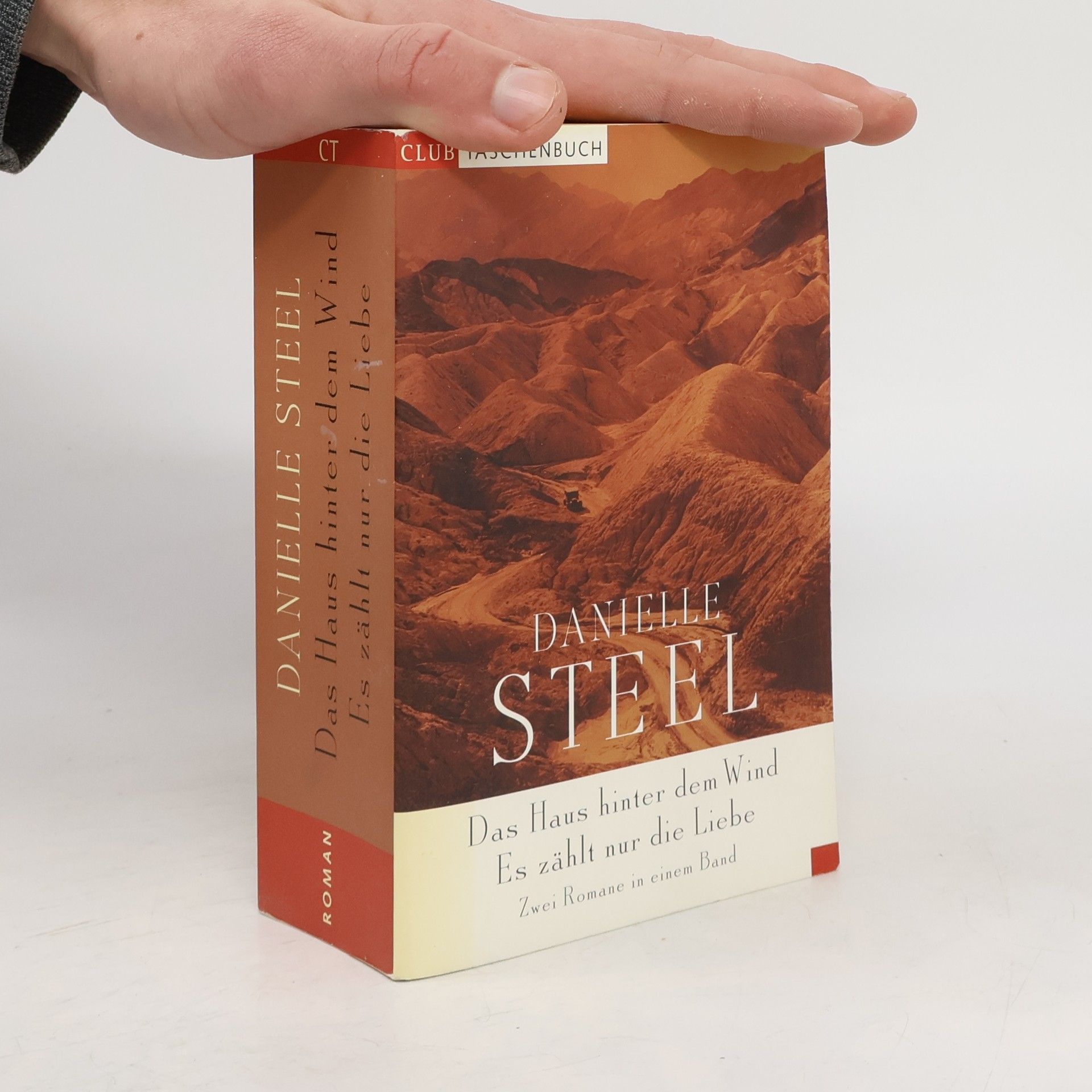 Danielle Steel Das Haus hinter dem Wind, Es zählt nur die Liebe