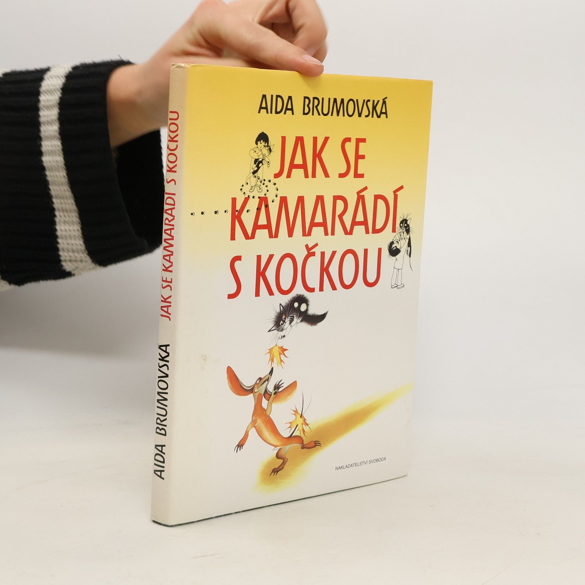 Aida Brumovská Jak se kamarádí s kočkou