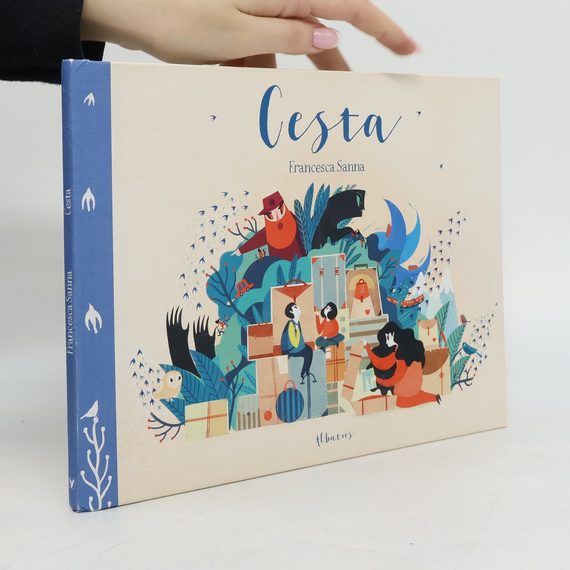 Francesca Sanna Cesta