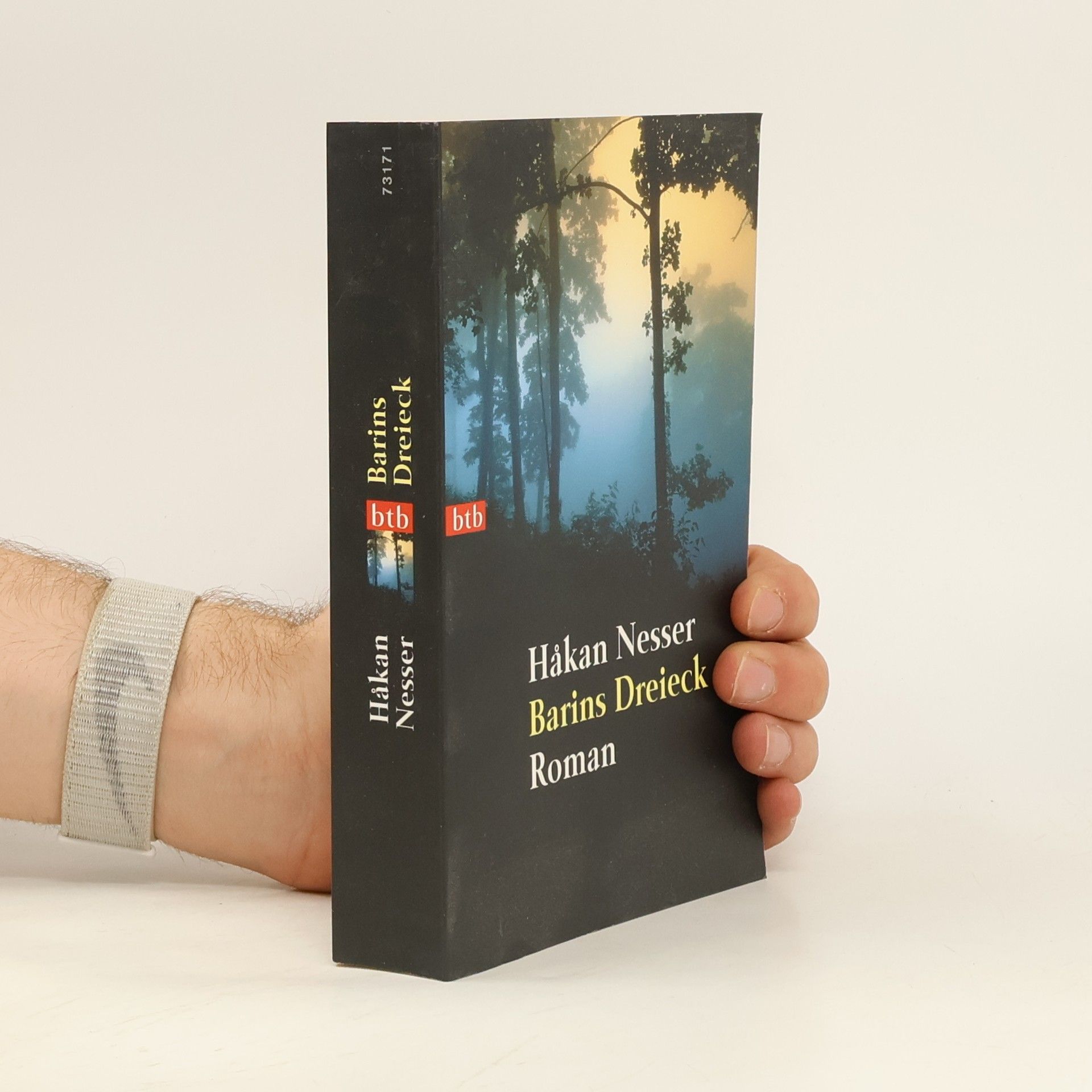 Håkan Nesser Barins Dreieck