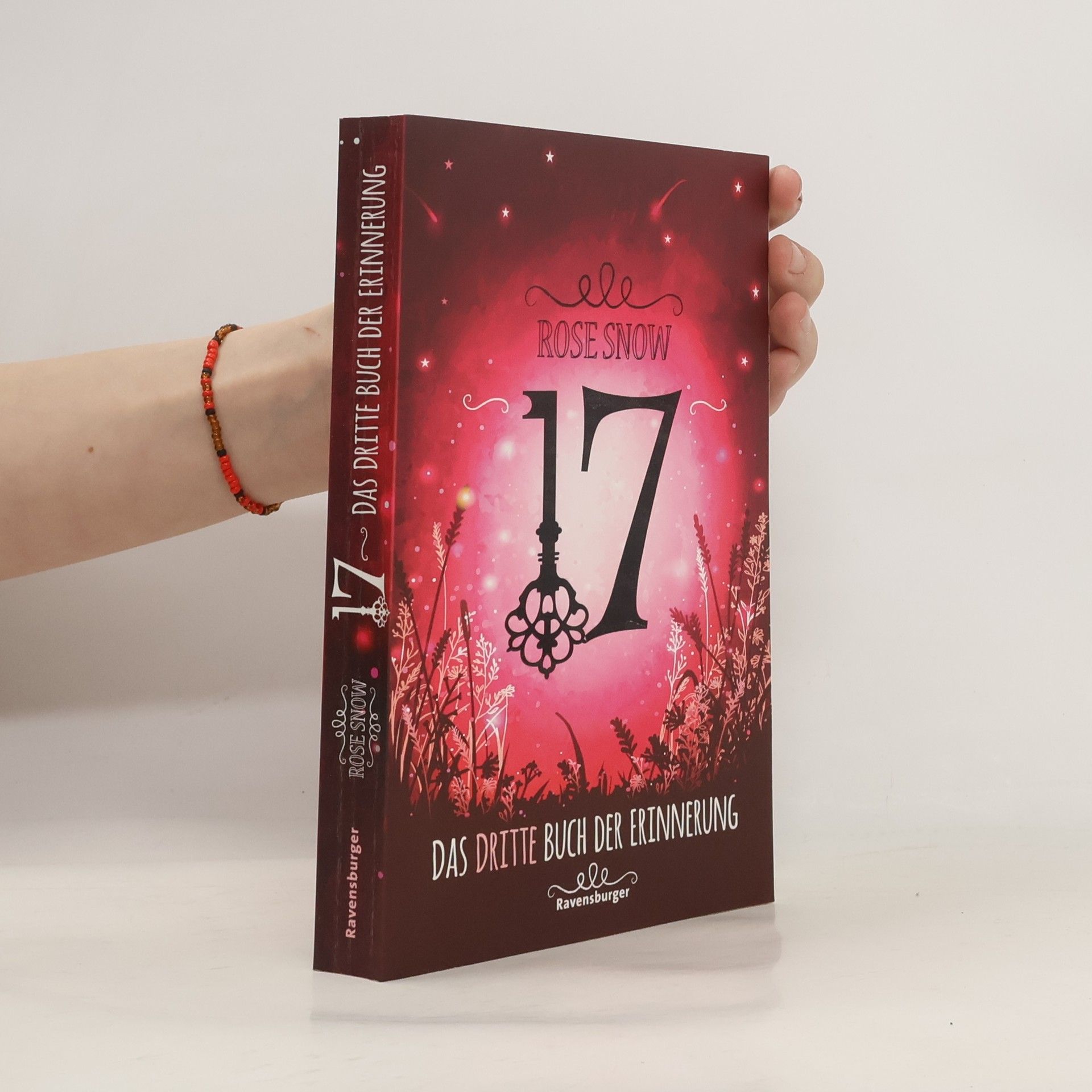 Rose Snow 17: Das dritte Buch der Erinnerung