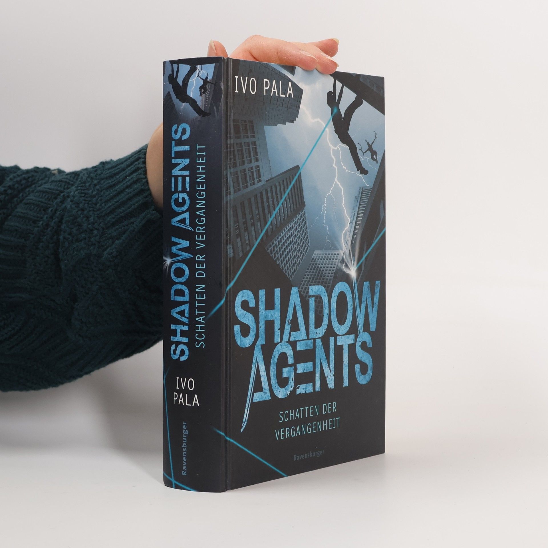 Ivo Pala Schatten der Vergangenheit