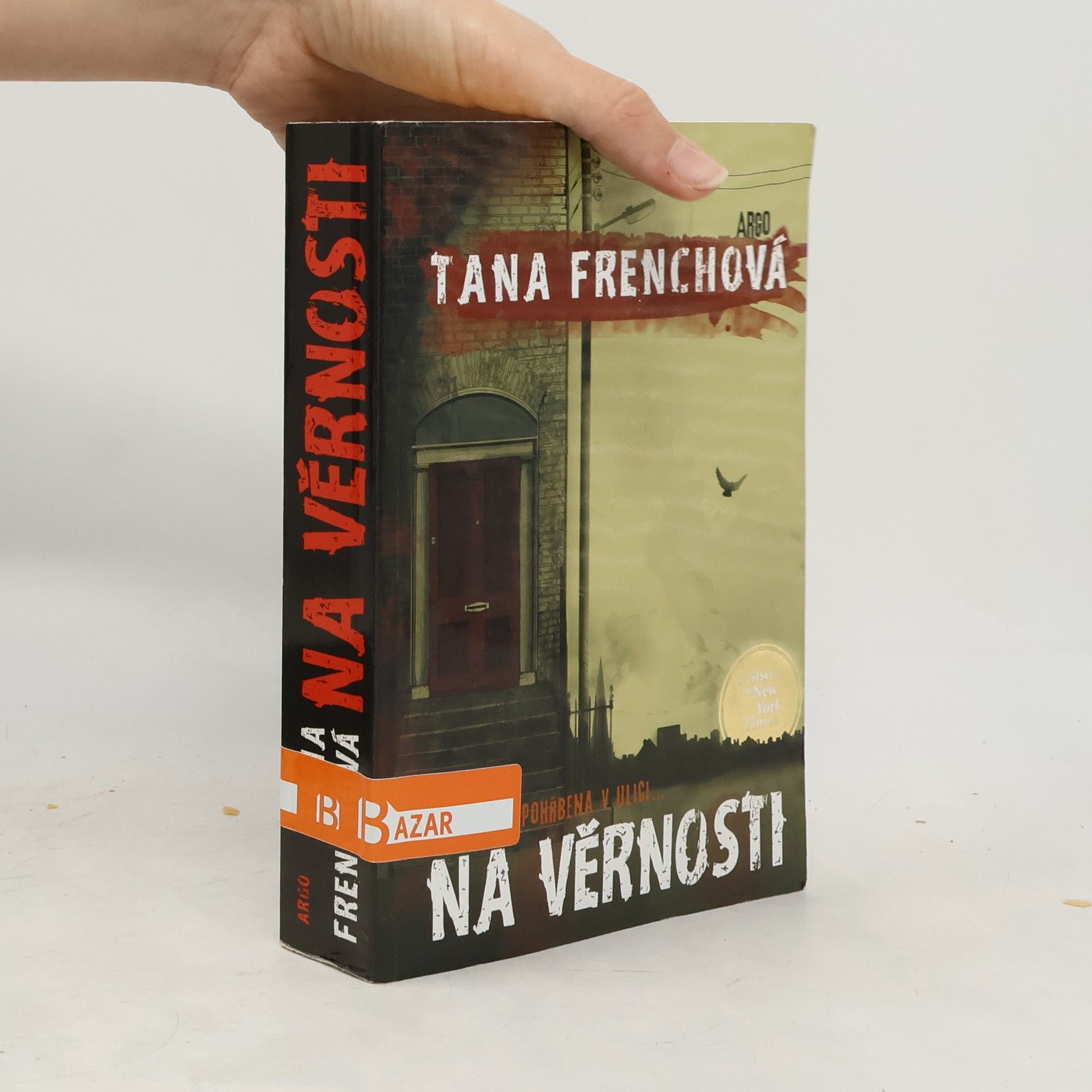 Tana French Na Věrnosti