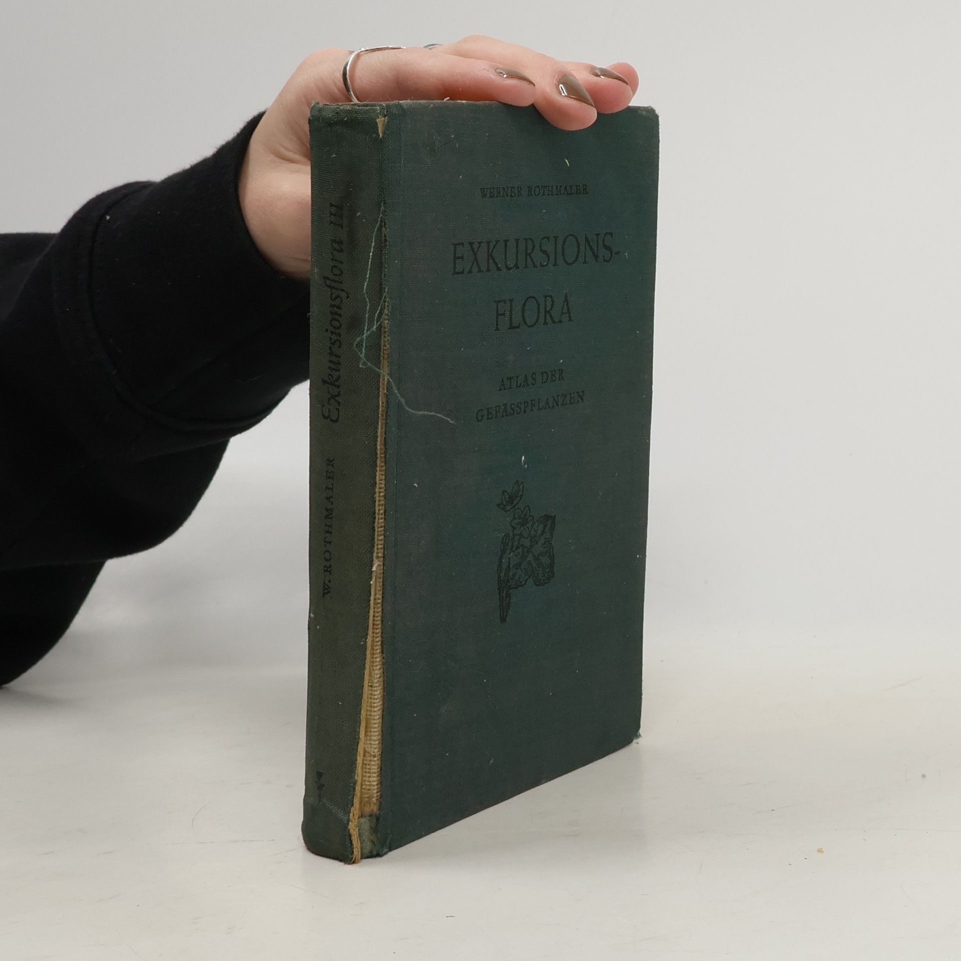 Werner Rothmaler Exkursionsflora von Deutschland