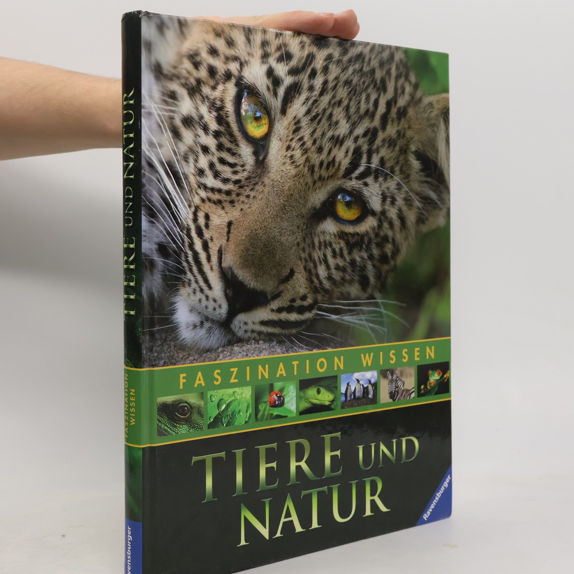 Sabine Zürn Tiere und Natur